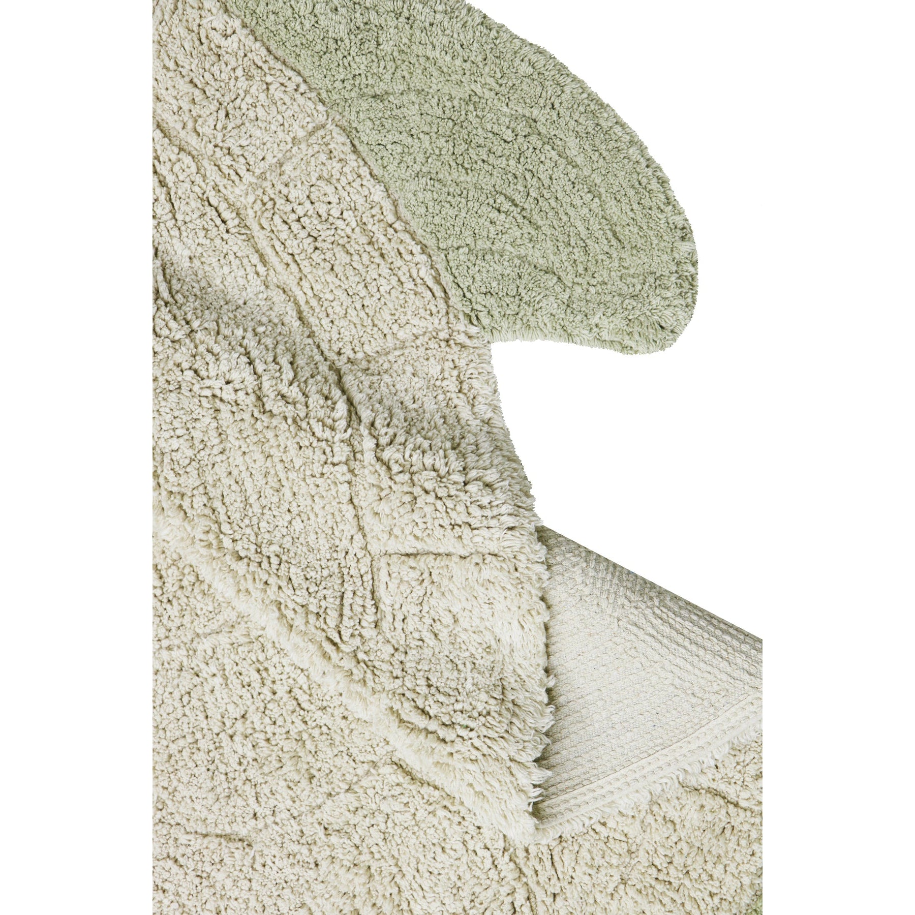 Sea Wonders Sea Turtle Washable Rug、mySite、gigharbornorthrealestate