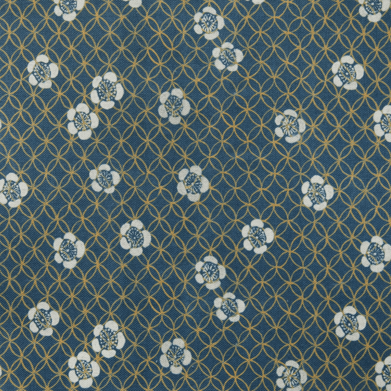 Grade H: Anemone Marine Blue、mySite、neckold