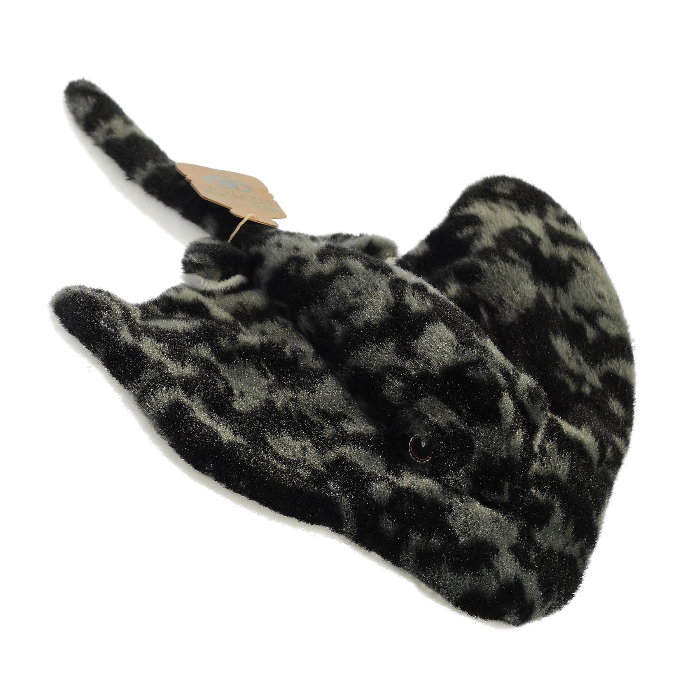 Aurora® - Eco Nation™ - 12 Stingray、mySite、g9winljtr