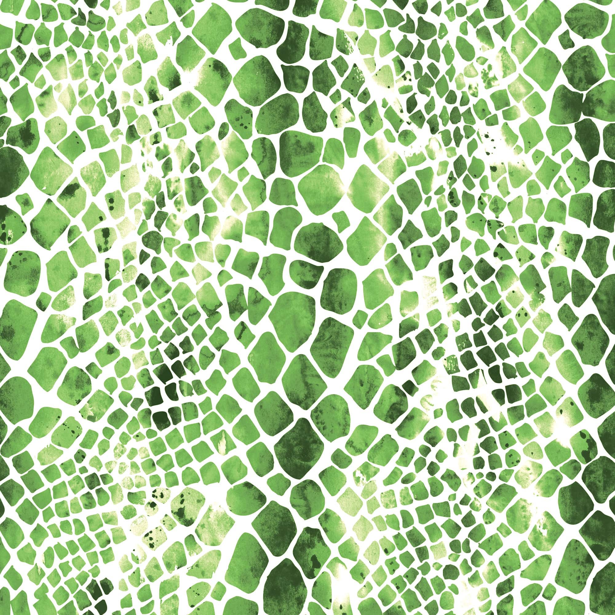  Green Watercolor Zebra & Python Print 12 x 12 Paper、mySite、ghnorth