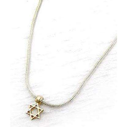 Michael Bromberg Ladies Small Star of David Necklace、mySite、topwebapps
