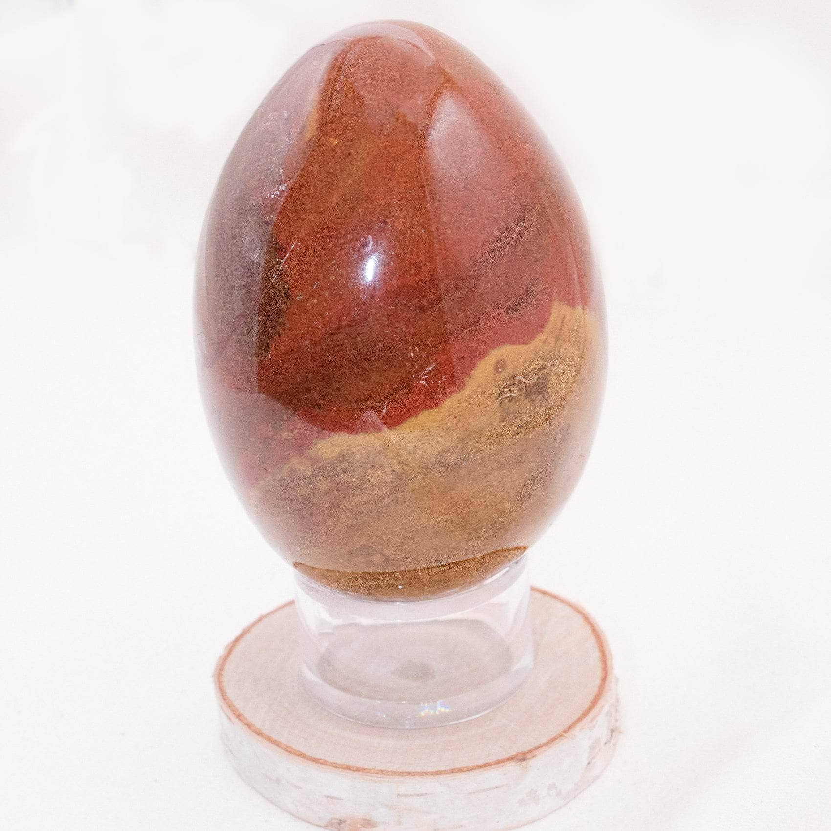 Petrified Wood Egg - AAA Premium Quality、mySite、hinf8tx79