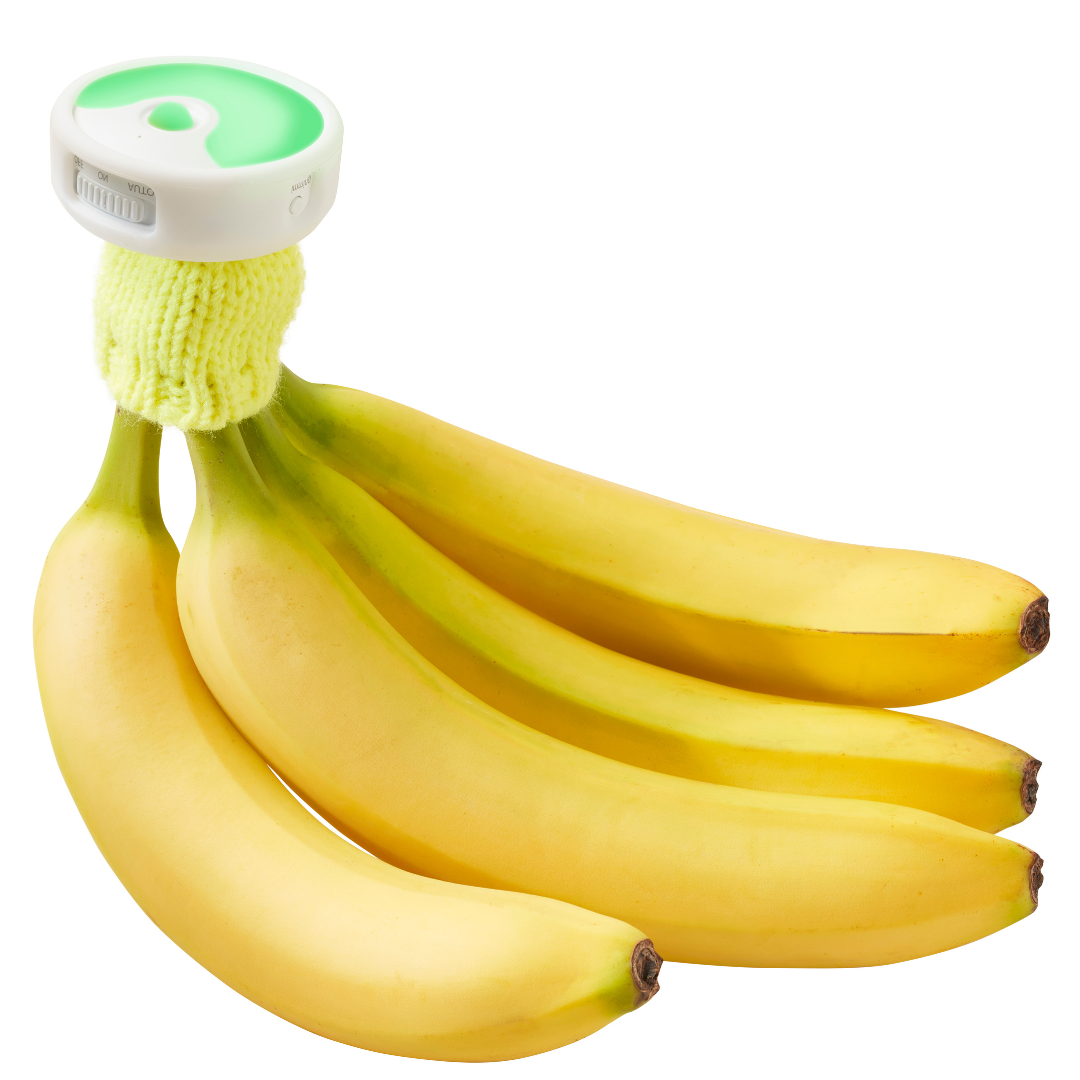 Banana Night Light | Includes Standard Size BPA-Free Silicone Cap with Magnet、mySite、hinf8tx79