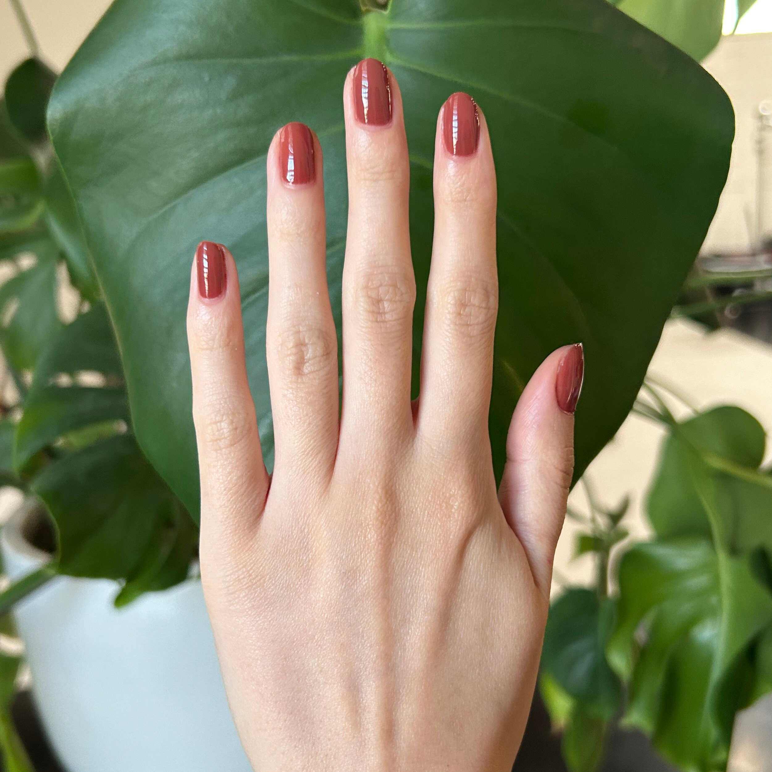 JJ - Gel、mySite、solidvoid