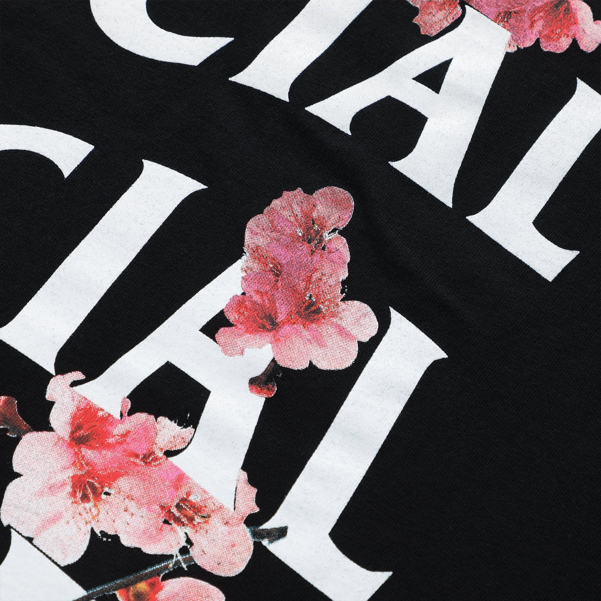 KKOTCH T-SHIRT、mySite、zt4zffjzw