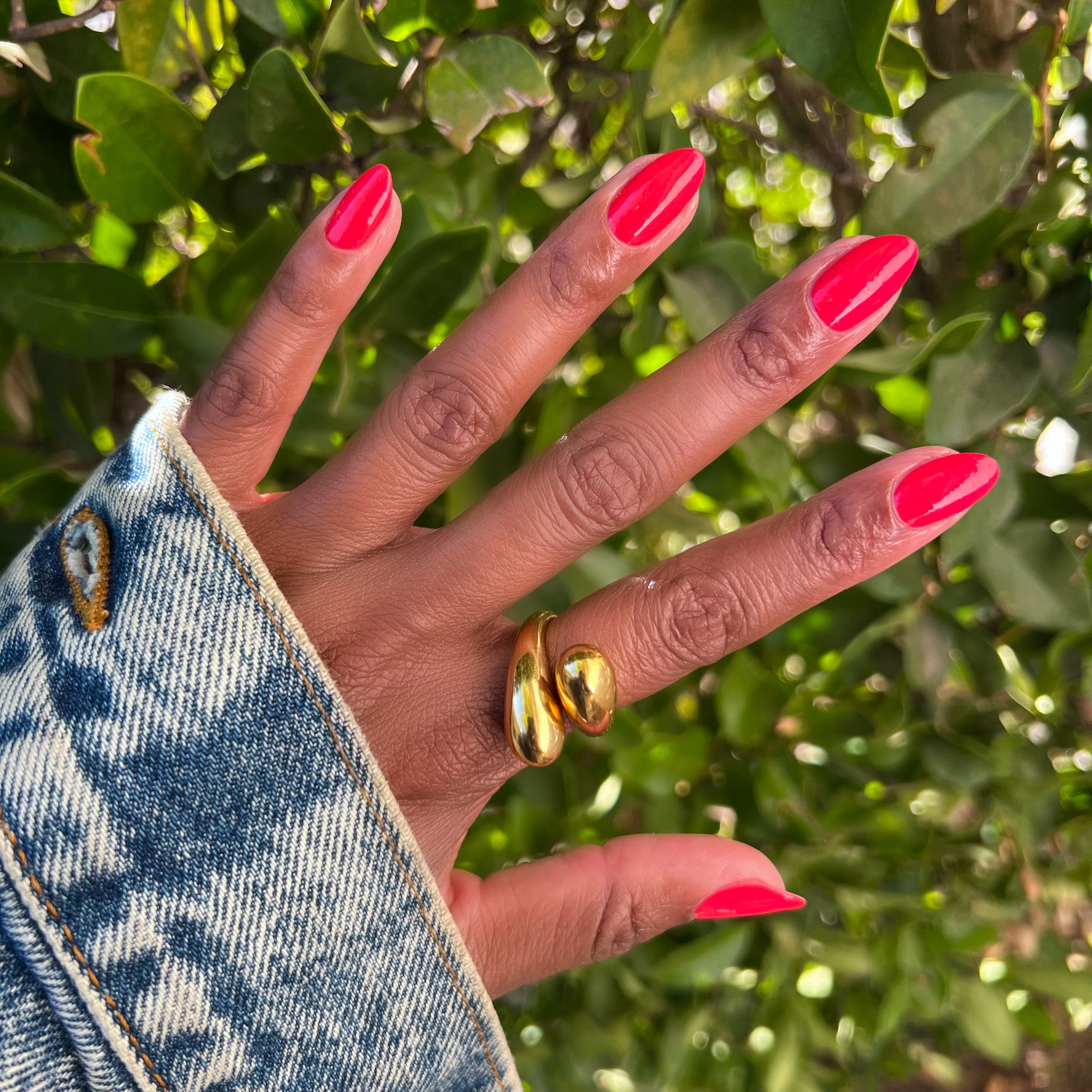 Picante、mySite、solidvoid