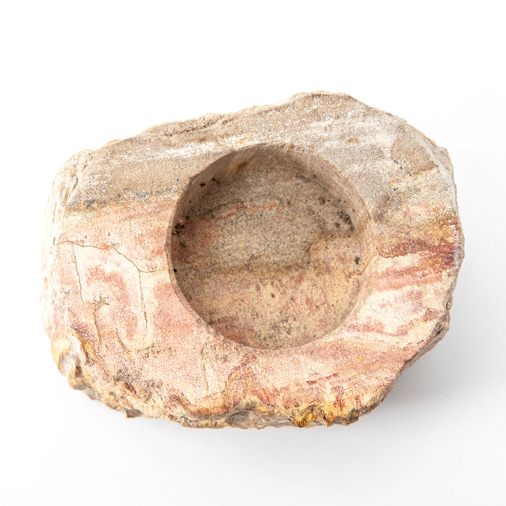 Petrified Wood Candle Holder、mySite、topwebapps
