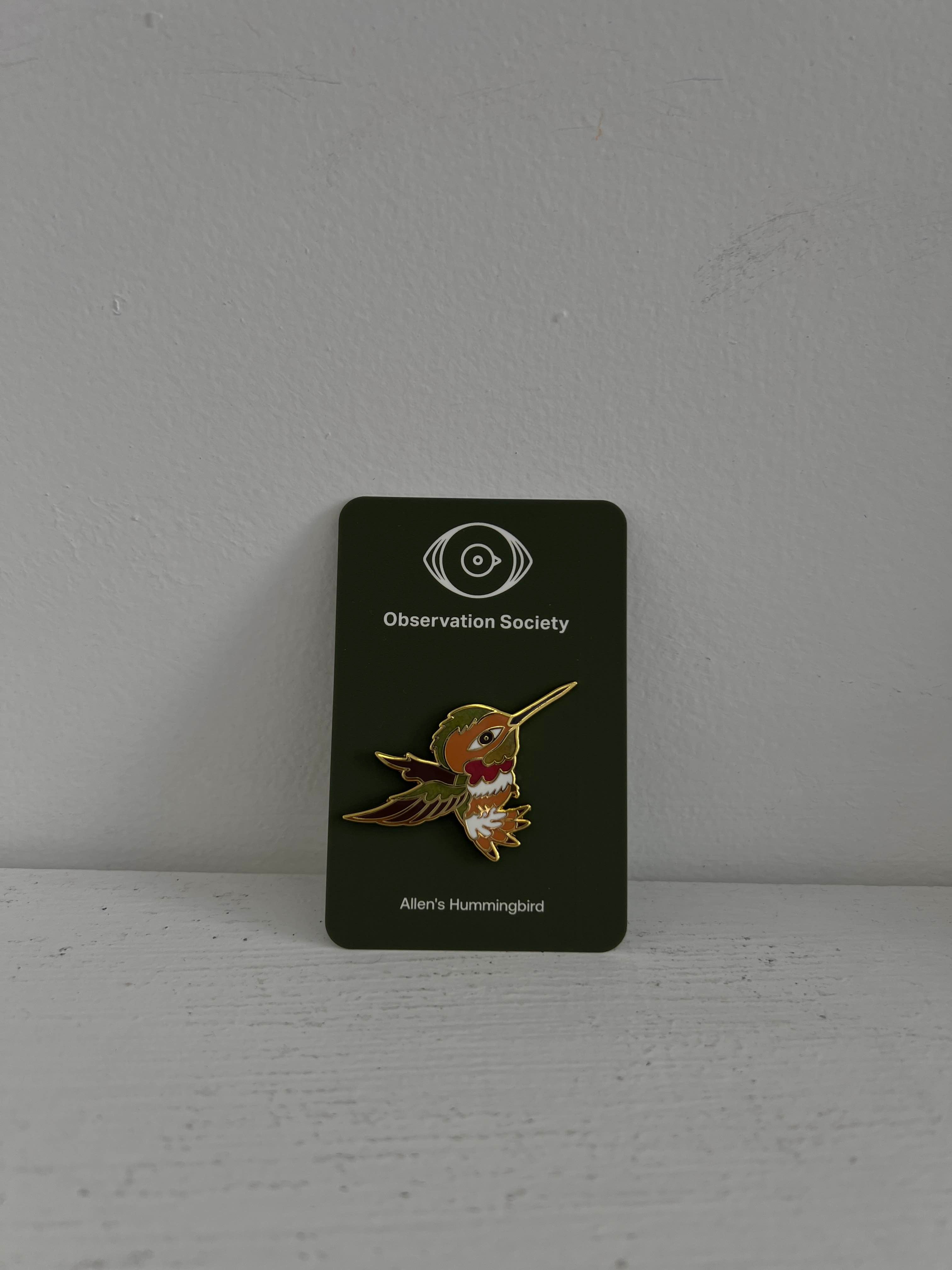 Observation - Allen's Hummingbird - Pin、mySite、garagedoors4me