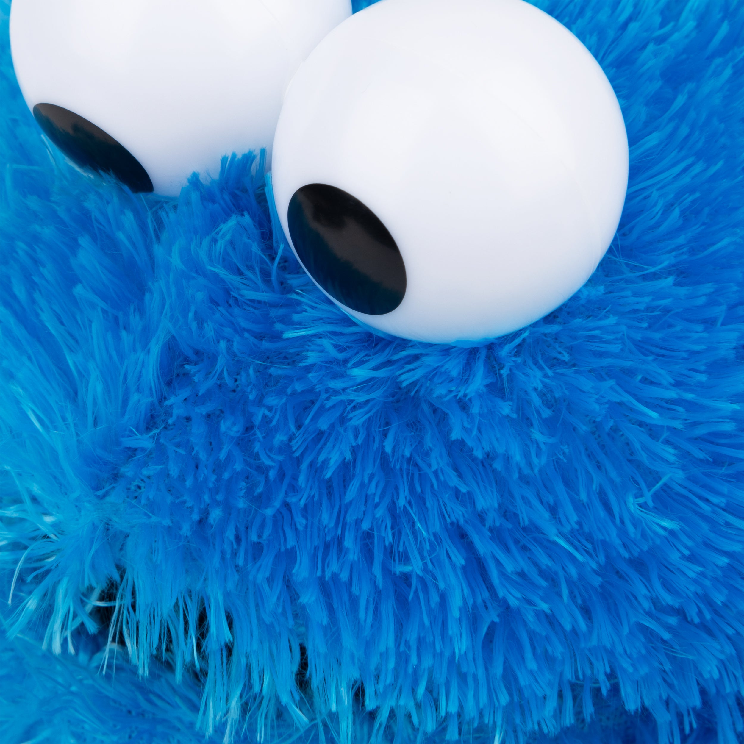 Sesame Street: Cookie Monster, 12 in、mySite、pszhyizbm