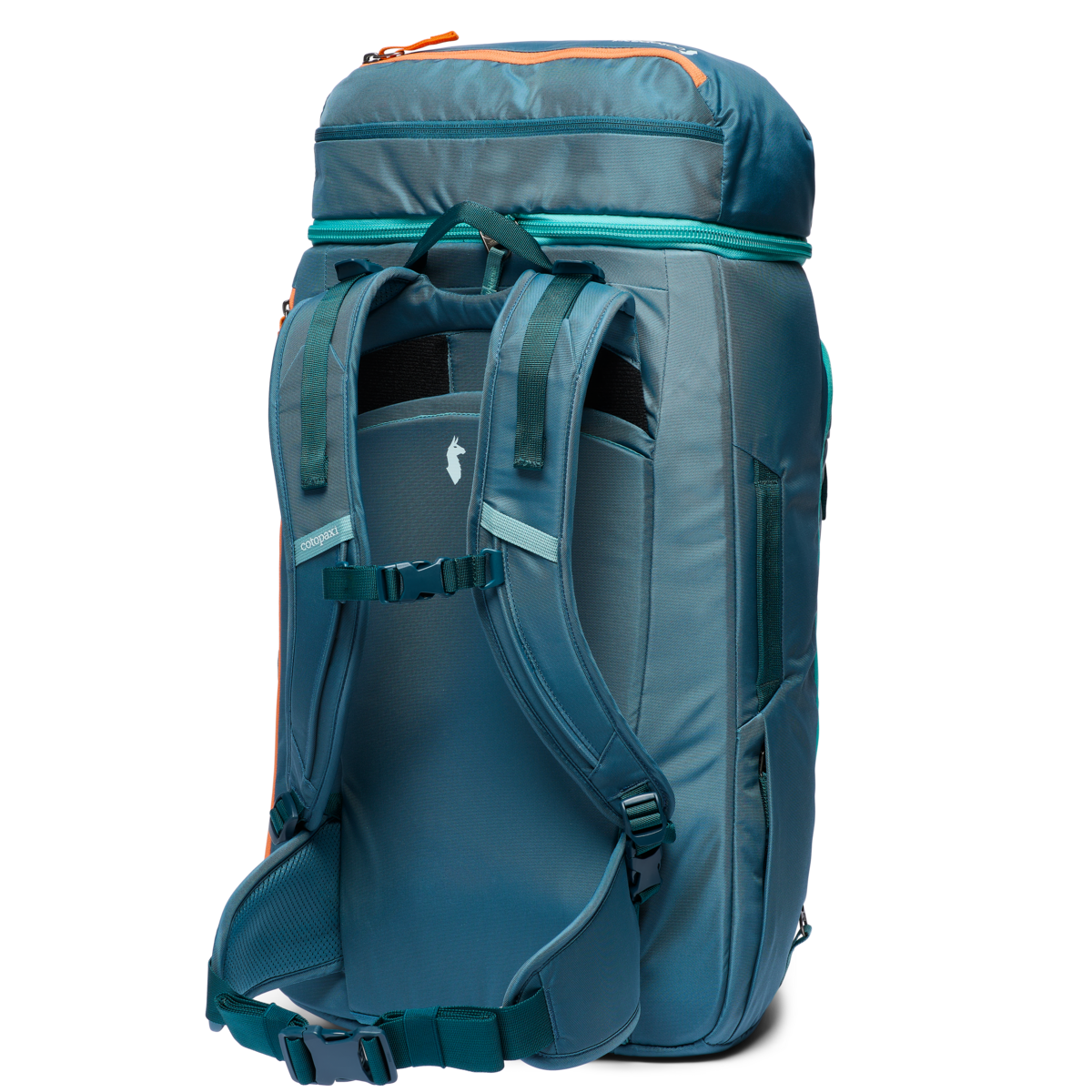 Allpa 50L Adventure Travel Pack、mySite、shAllpa 50L Adventure Travel Pack、mySite、glenpowelloop_name
