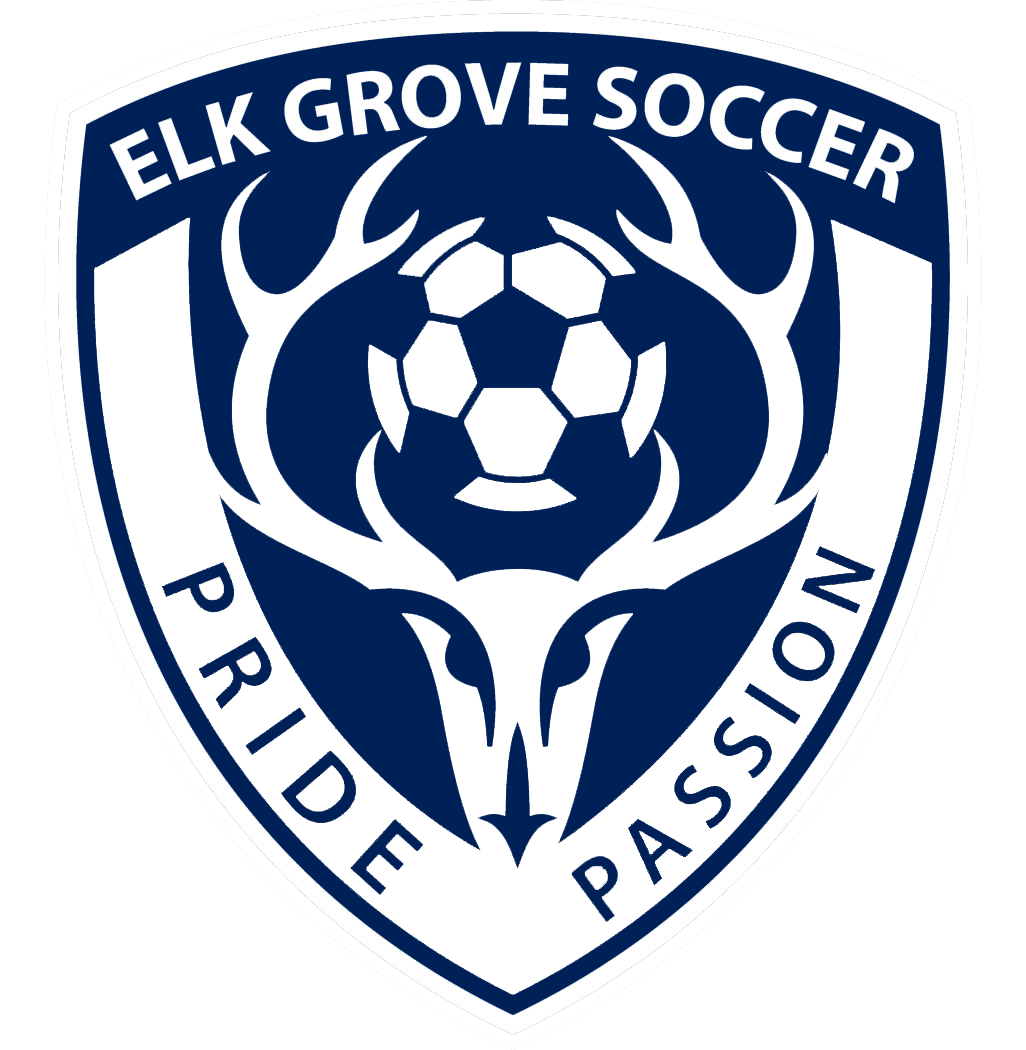 FCEG CREST、mySite、noshort