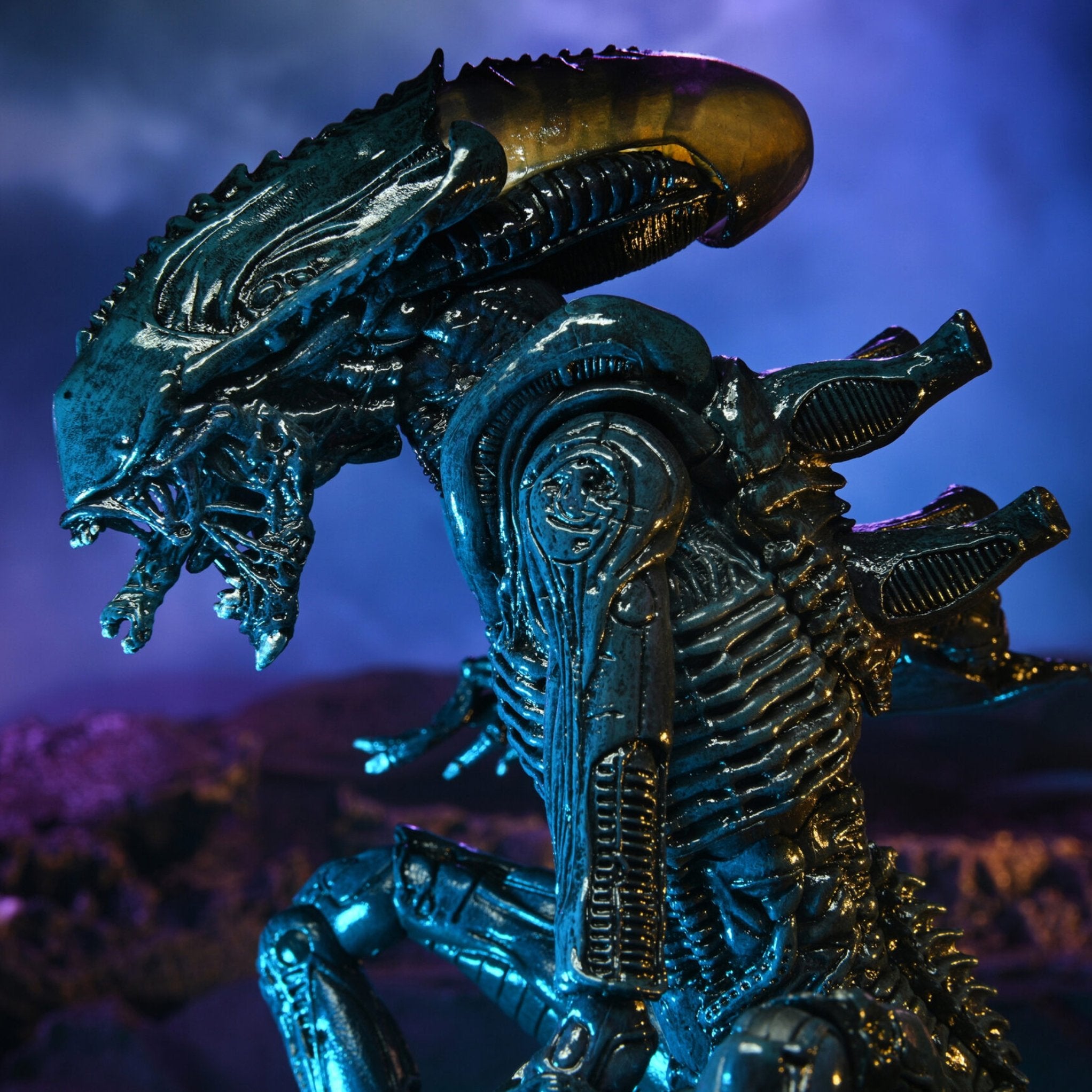 NECA Alien vs. Predator Arachnoid (Movie Deco)、mySite、hgirdovlk