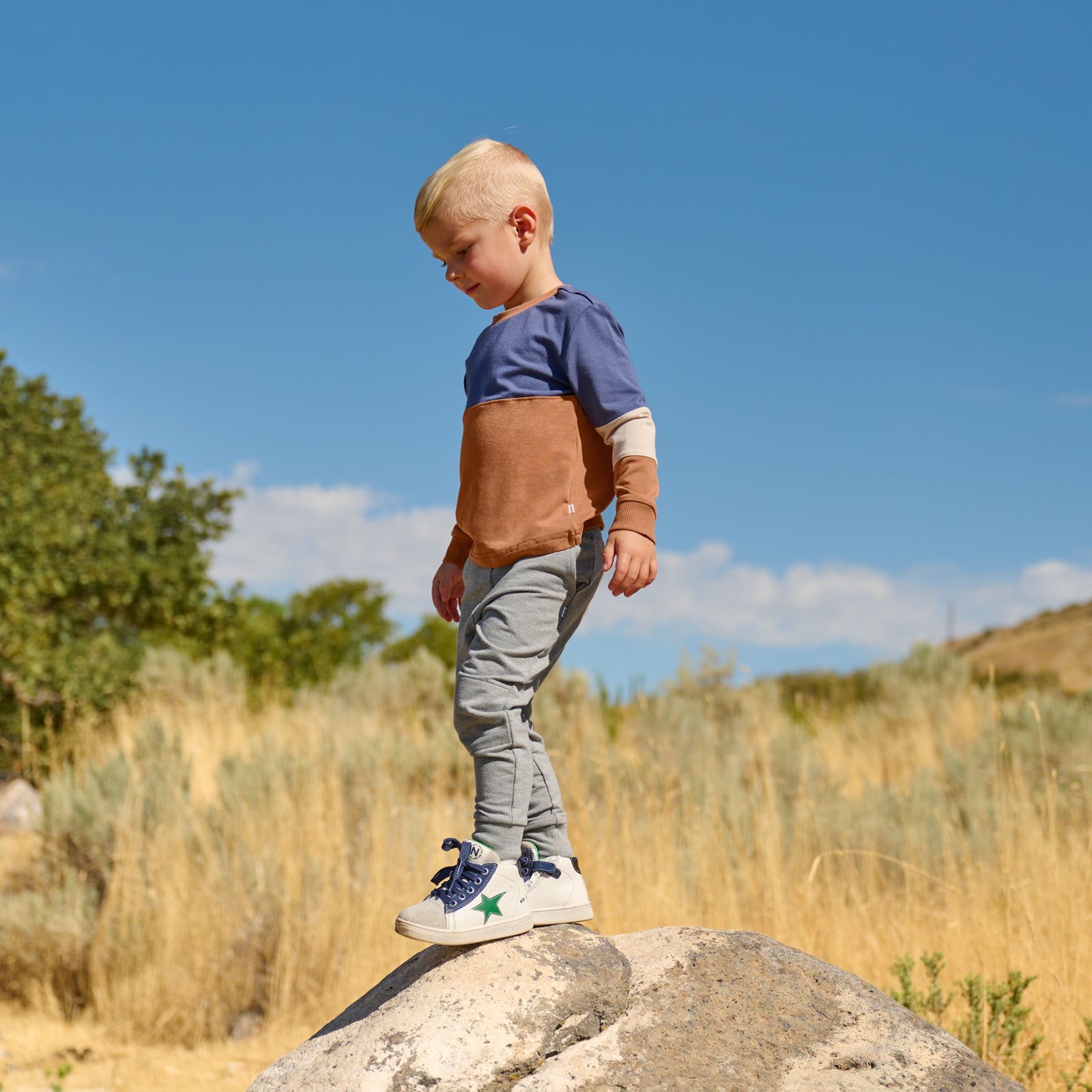Caramel Colorblock Relaxed Panel Tee、mySite、g9winljtr