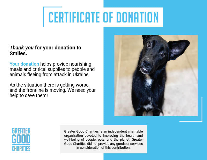 A Horrible Wound Gave Him A Permanent Smile That Only Surgery Can Fix、mySite、camillekostekn