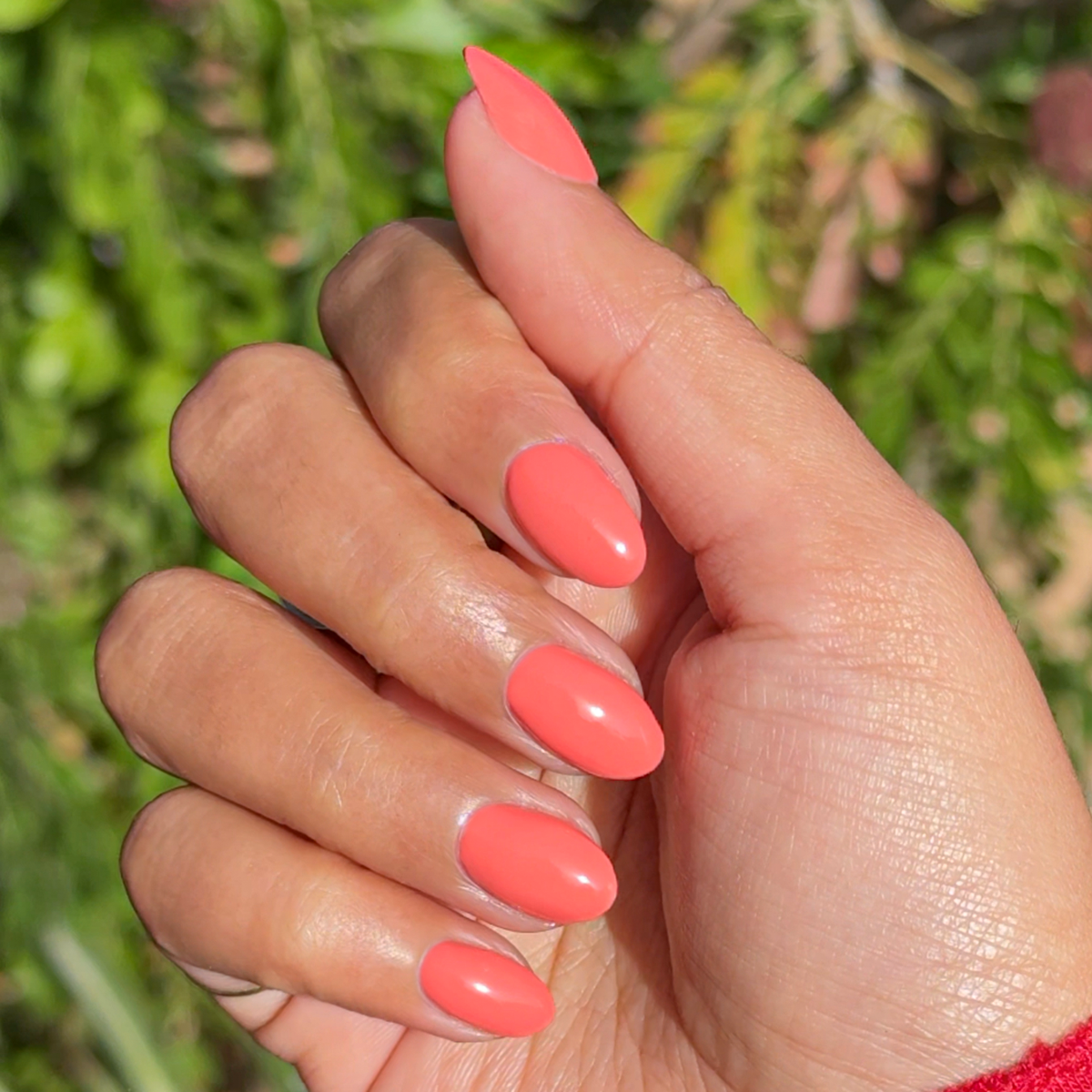 Ride into the Sunset、mySite、solidvoid