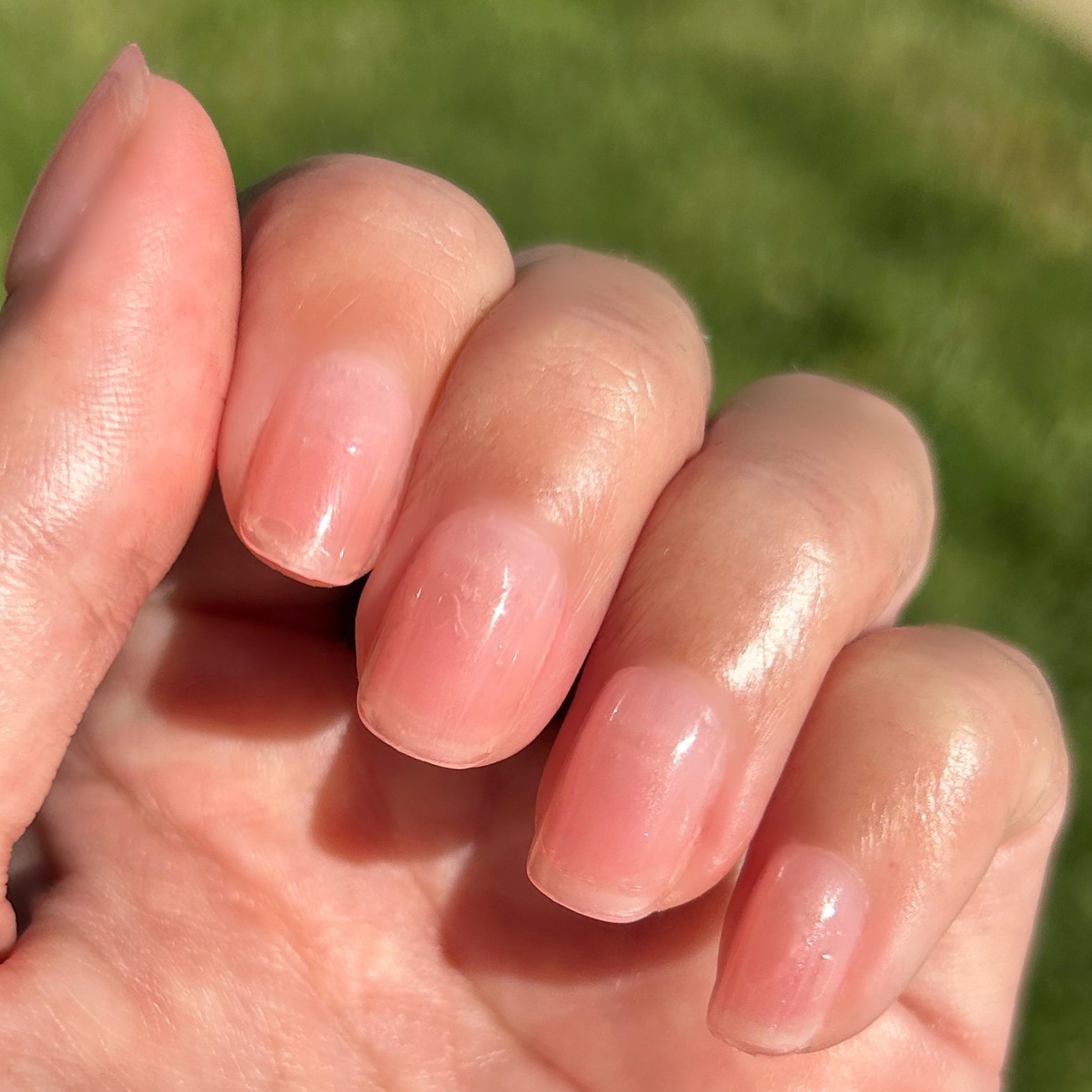 Pink Sands Jelly - Press-On | Extra Short | Squoval、mySite、solidvoid