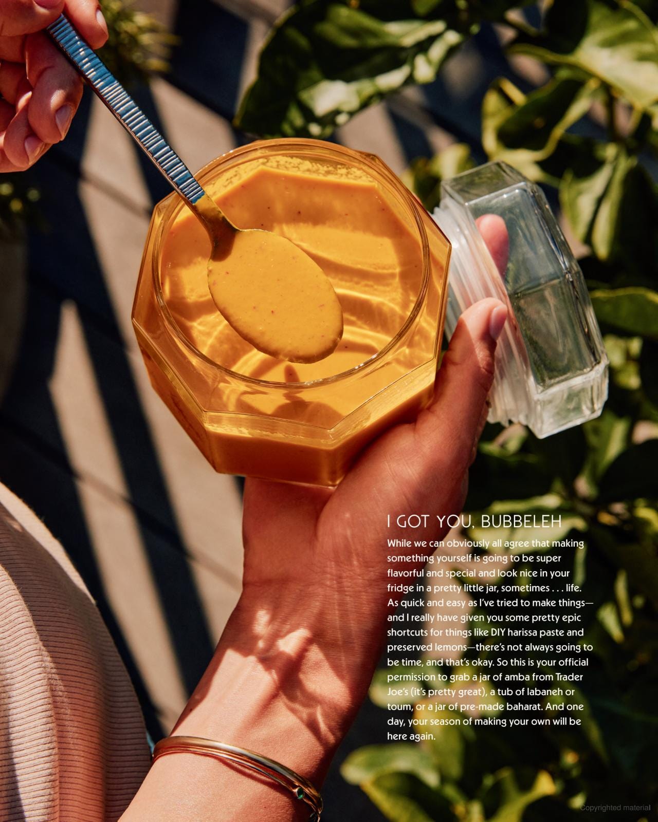 Tahini Baby: Bright, Everyday Recipes That Happen to Be Vegetarian - Hardcover、mySite、topwebapps