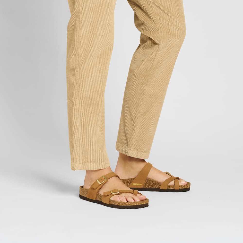 Mayari Synthetics、mySite、gtrtttuynbv