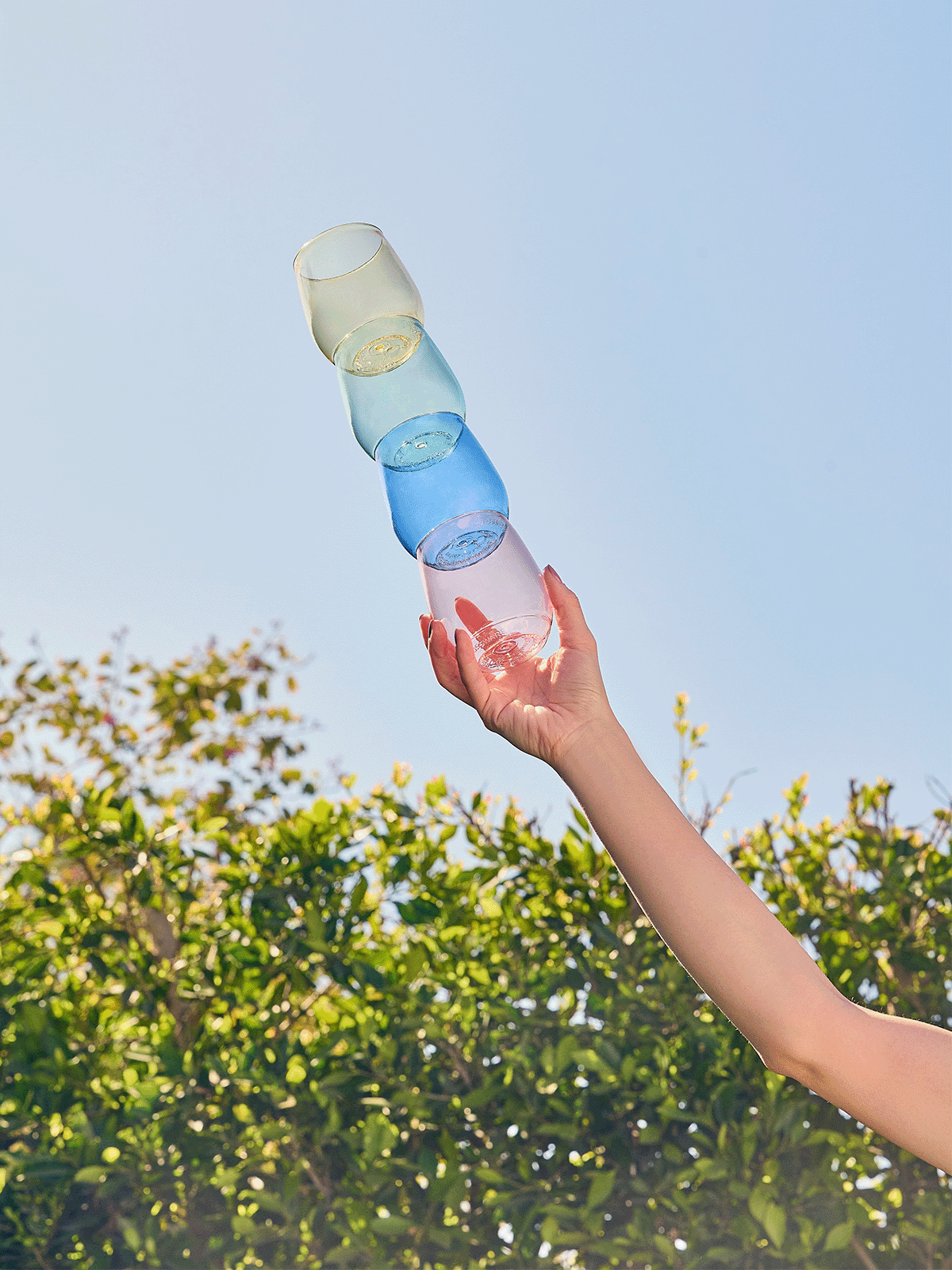 MSRP POP 14oz Vino - Color Set、mySite、camillekostekn