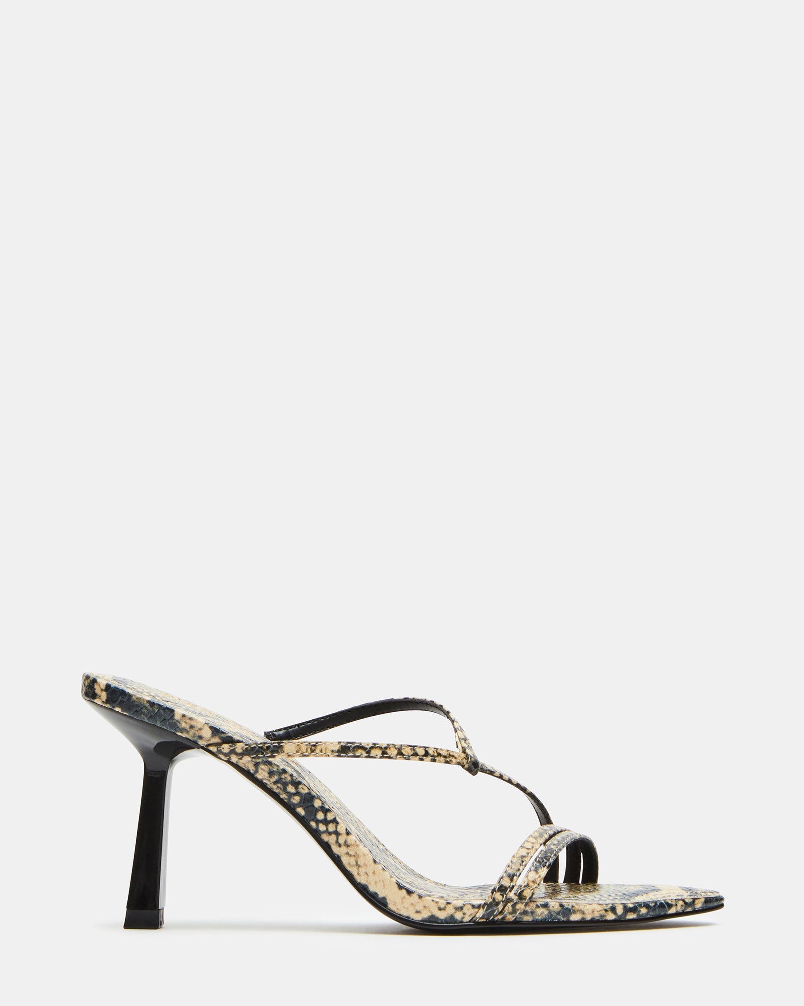 SENSES SNAKE - SM REBOOTED、mySite、gtrtttuynbv