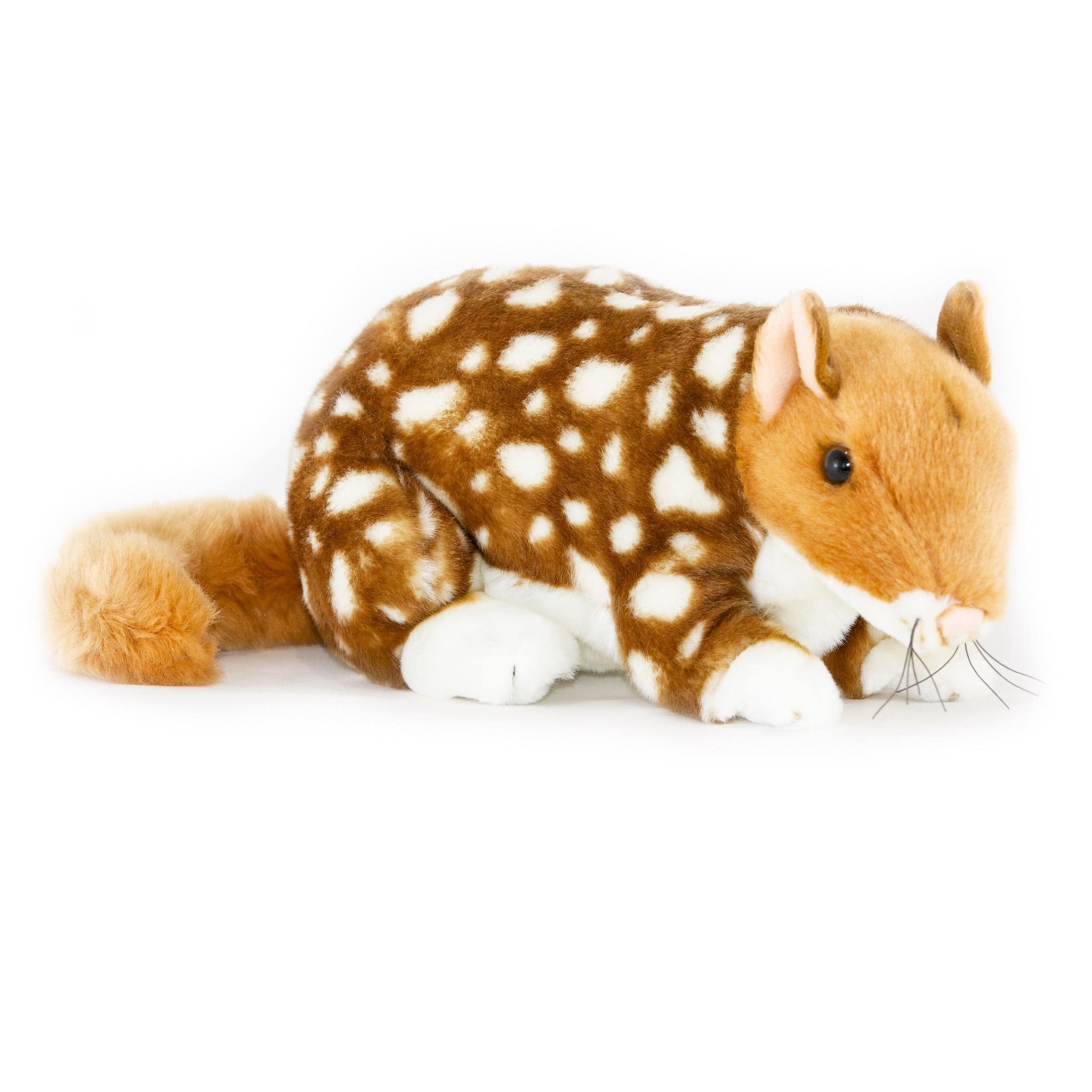 Realistic Fawn Eastern Quoll Size 31cm/12″、mySite、g9winljtr