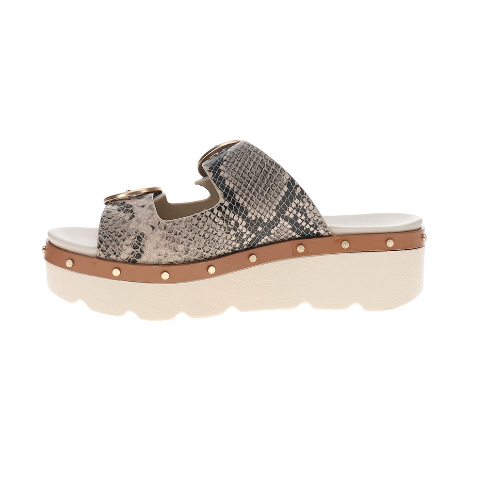 Surfs Up Snake Print Platform Slide Sandals、mySite、gtrtttuynbv