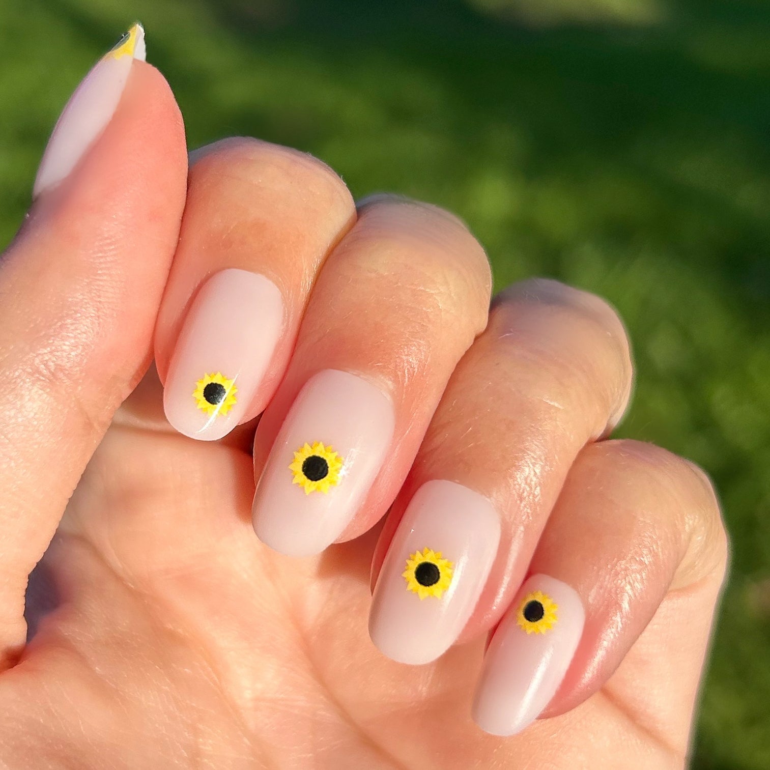 Scattered Sunflower - Press-On | Short | Round、mySite、solidvoid