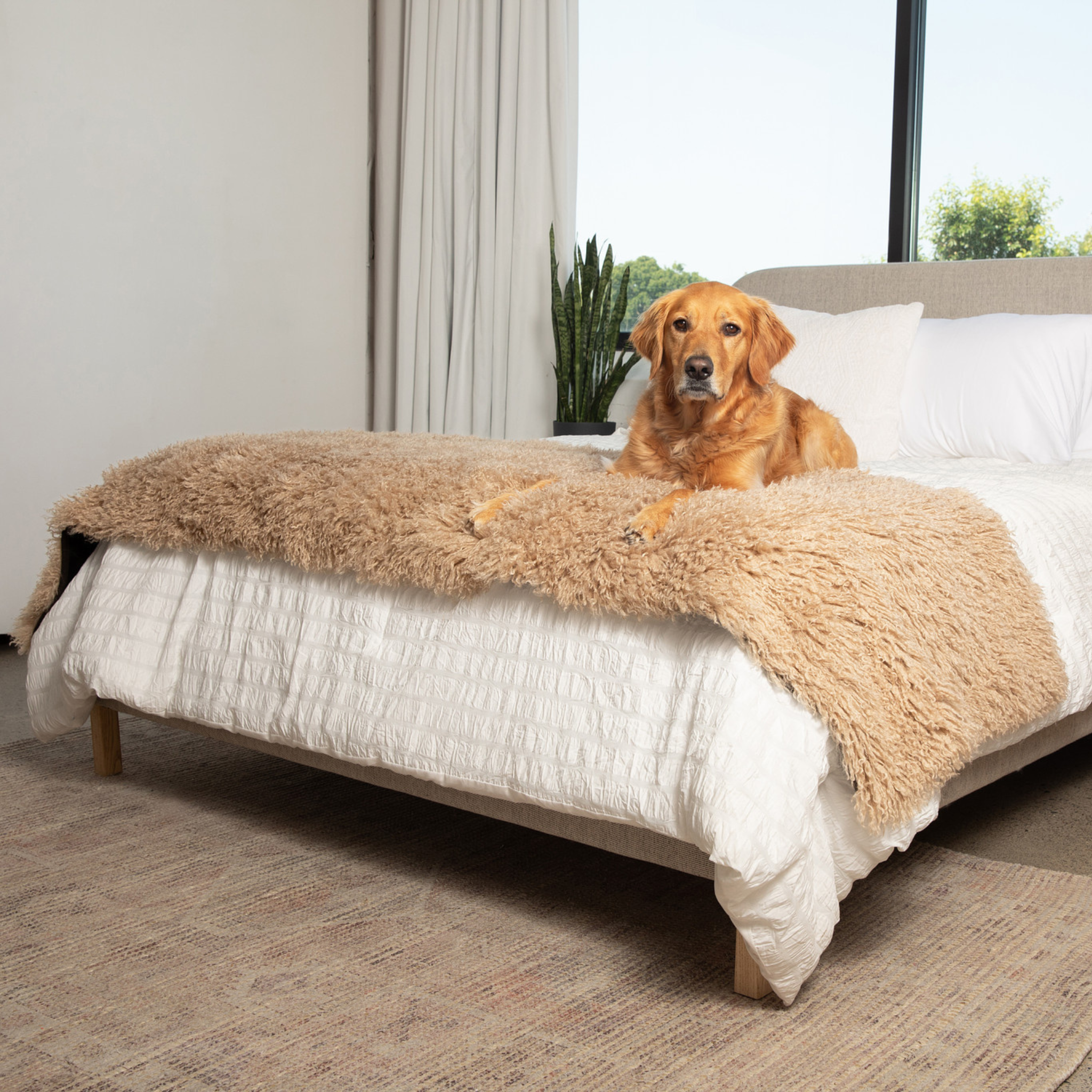 PupProtector™ Luxe Waterproof Bed Runner - Plush Sheep Tan、mySite、solidvoid
