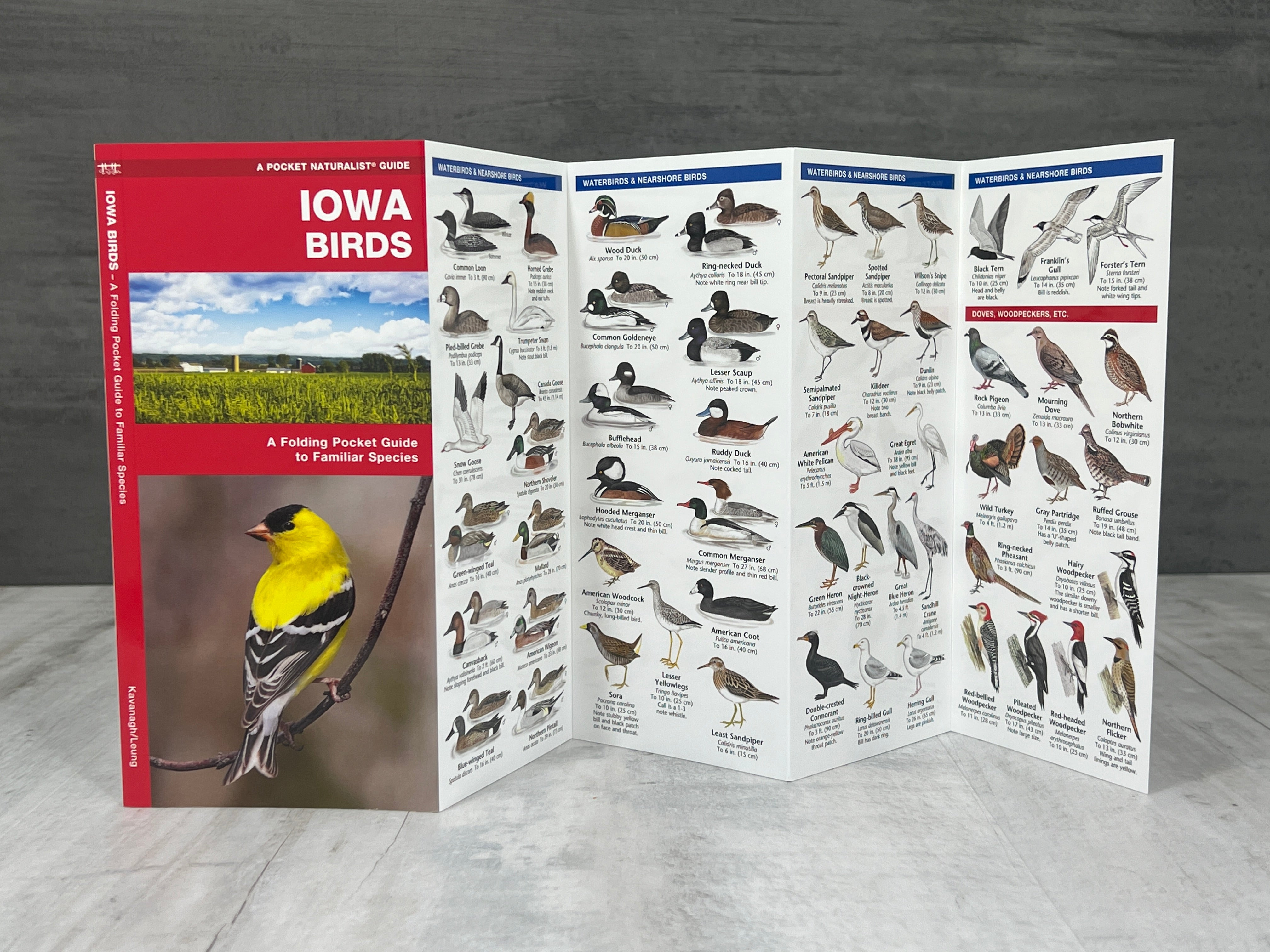 Iowa Nature Booklet、mySite、garagedoors4me