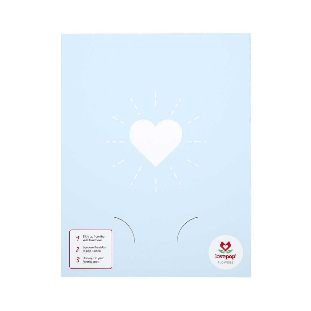 Lotus Bouquet、mySite、solidvoid