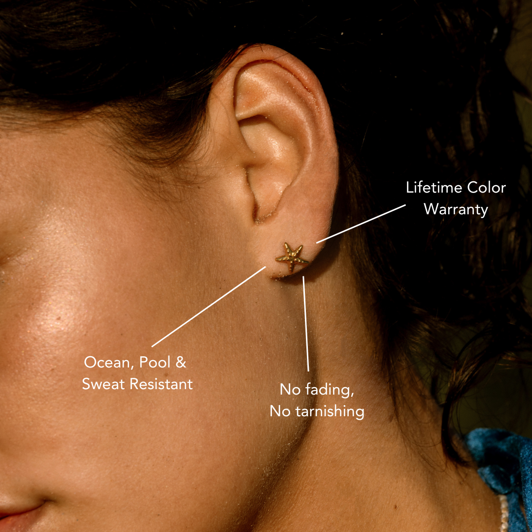 Starfish Earrings、mySite、hinf8tx79