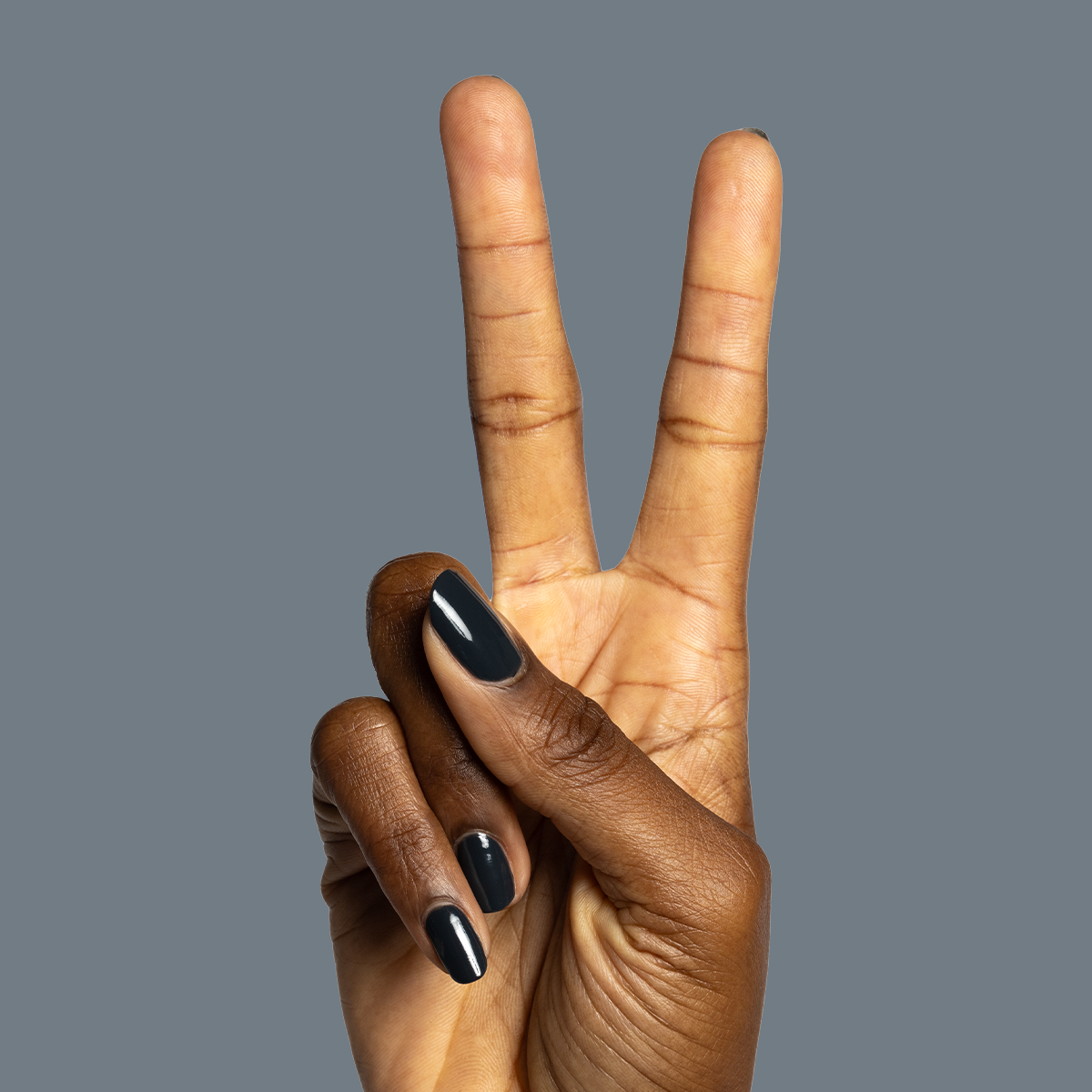 Last Minute Shopping、mySite、solidvoid