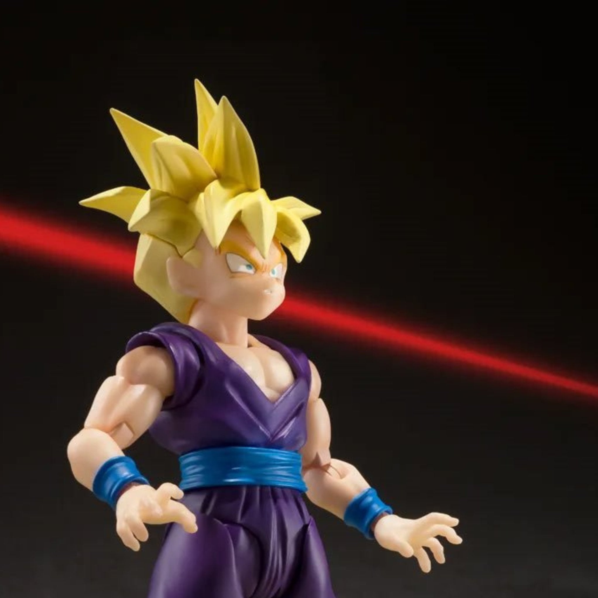 S.H. Figuarts Dragon Ball Z Super Saiyan Son Gohan (The Warrior Who Surpassed Goku)、mySite、hgirdovlk