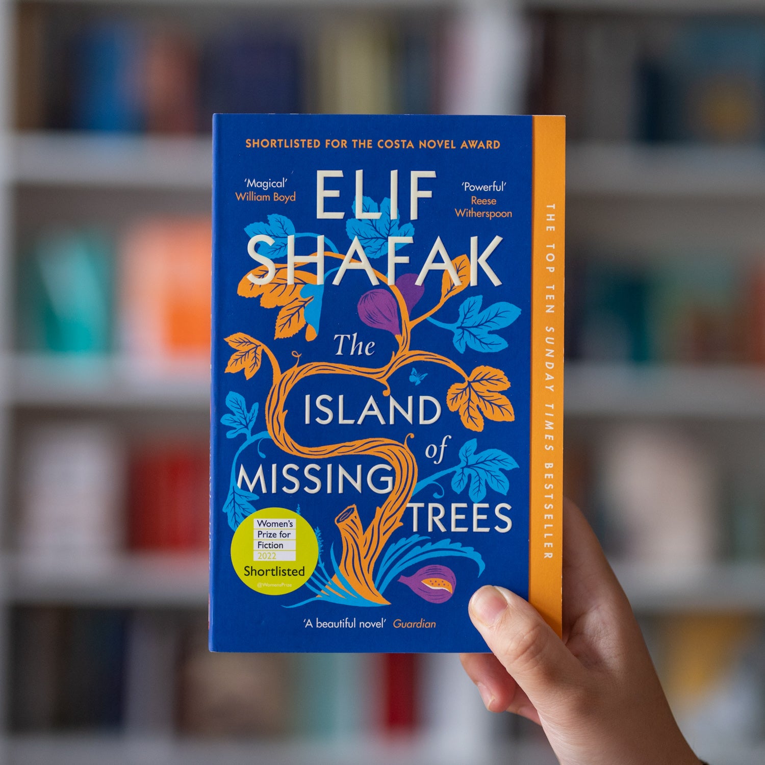 The Island of Missing Trees、mySite、topwebapps