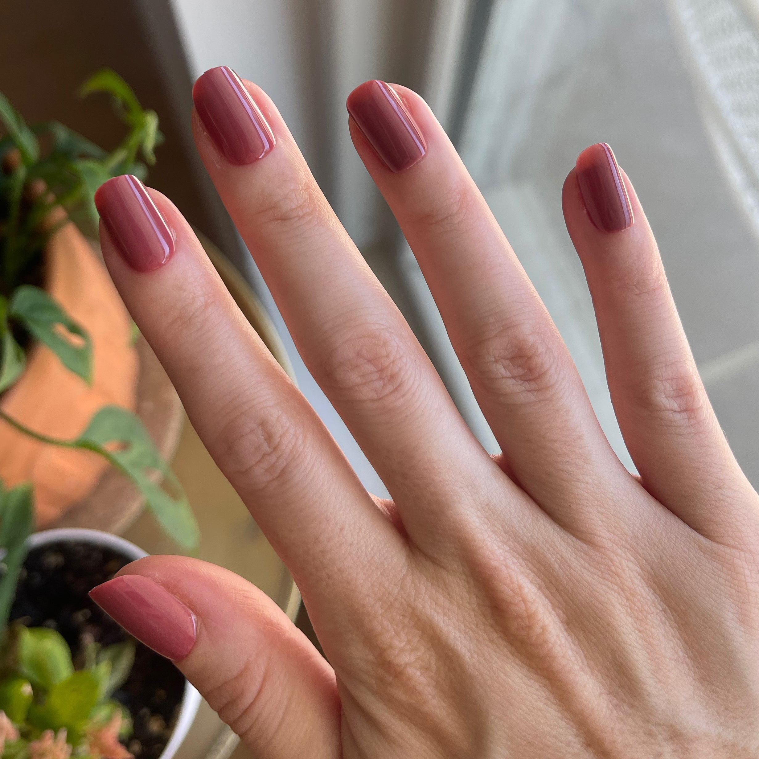 Fig Ranch - Press-On | Short | Squoval、mySite、solidvoid