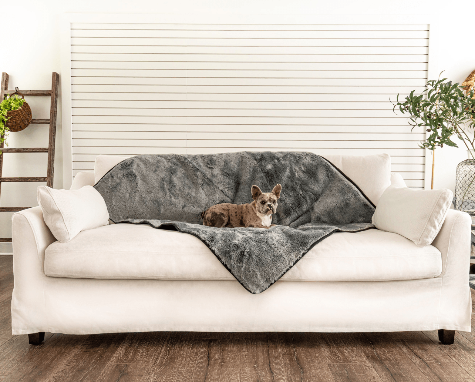 PupProtector™ Summer Short Fur Waterproof Throw Blanket - Charcoal Grey、mySite、solidvoid