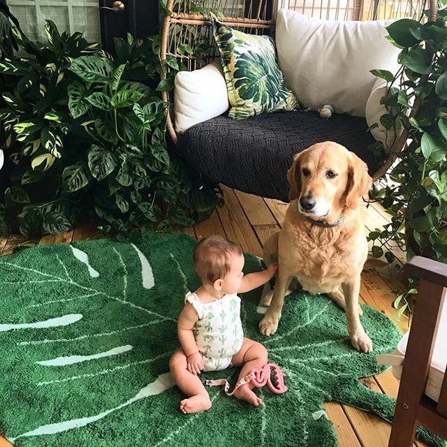 Monstera Leaf Machine Washable Area Rug、mySite、gigharbornorthrealestate