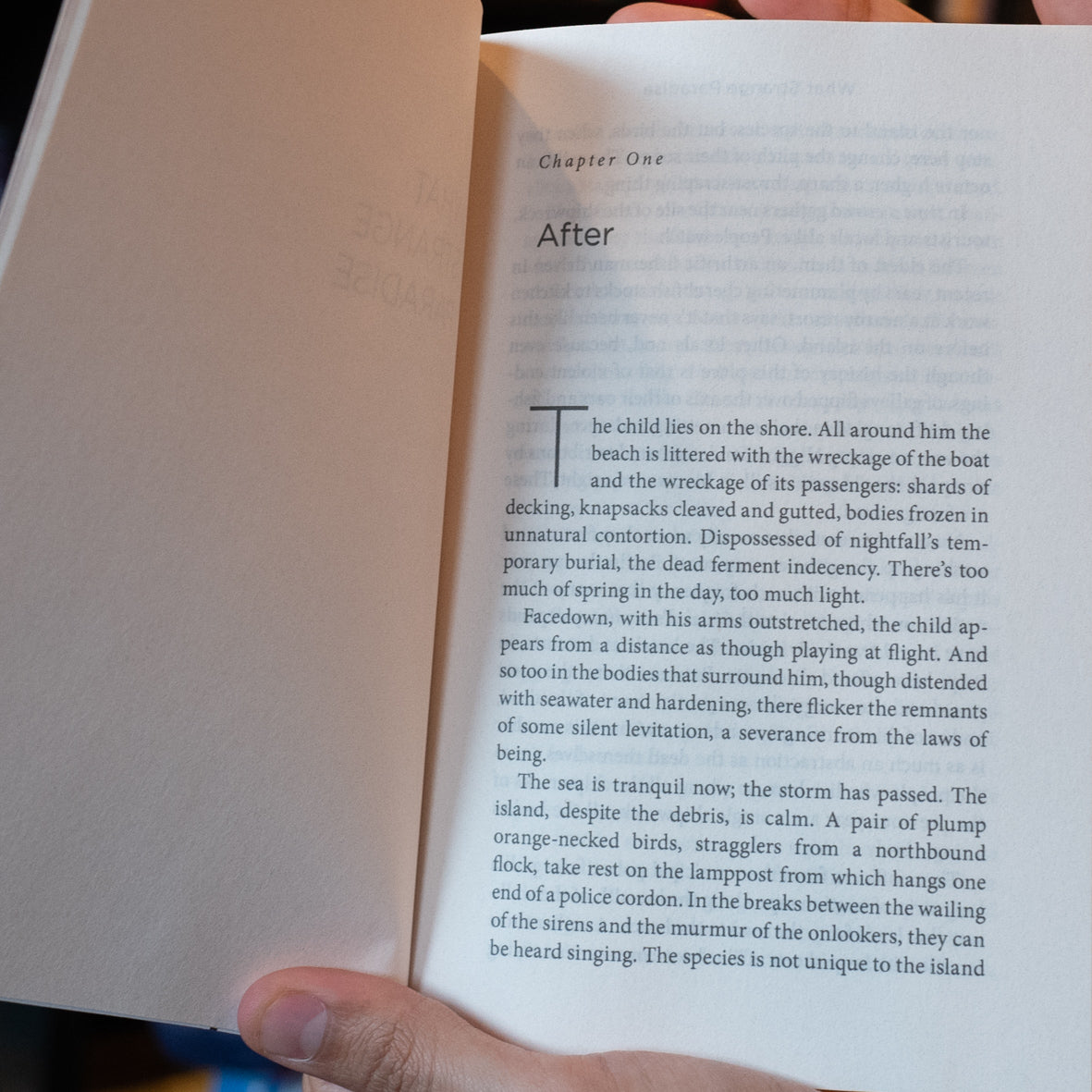 What Strange Paradise, A Novel、mySite、topwebapps