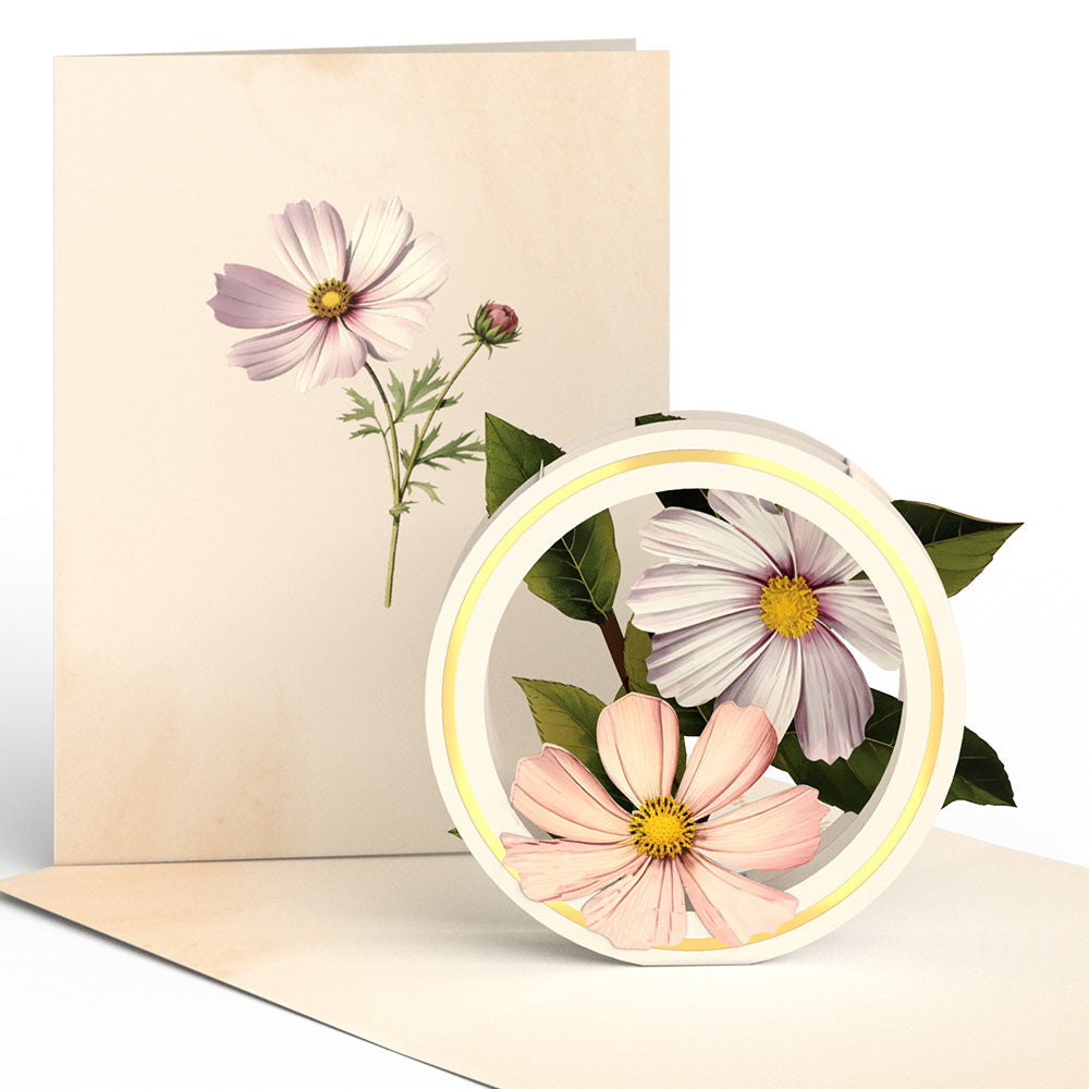 Beautiful Botanicals Box Set (Assorted 12-Pack): Paperpop® Card、mySite、solidvoid