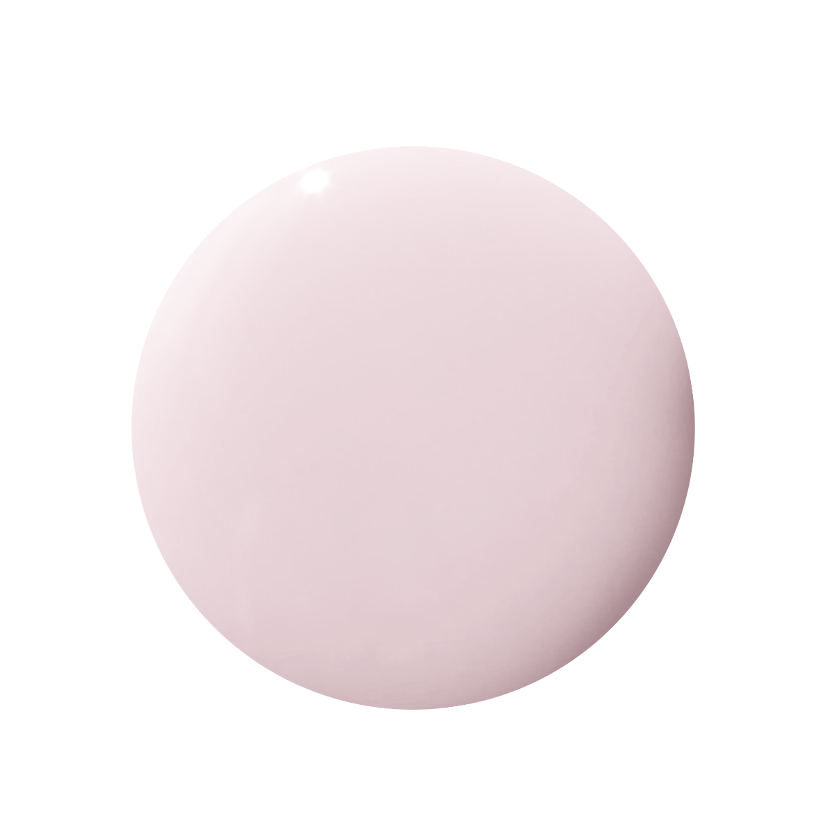 Gelato、mySite、solidvoid