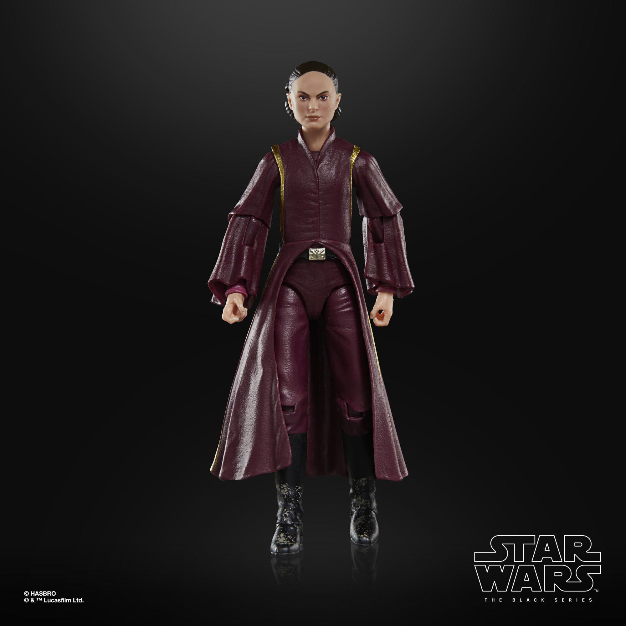 Star Wars Black Series Padme Amidala、mySite、hgirdovlk