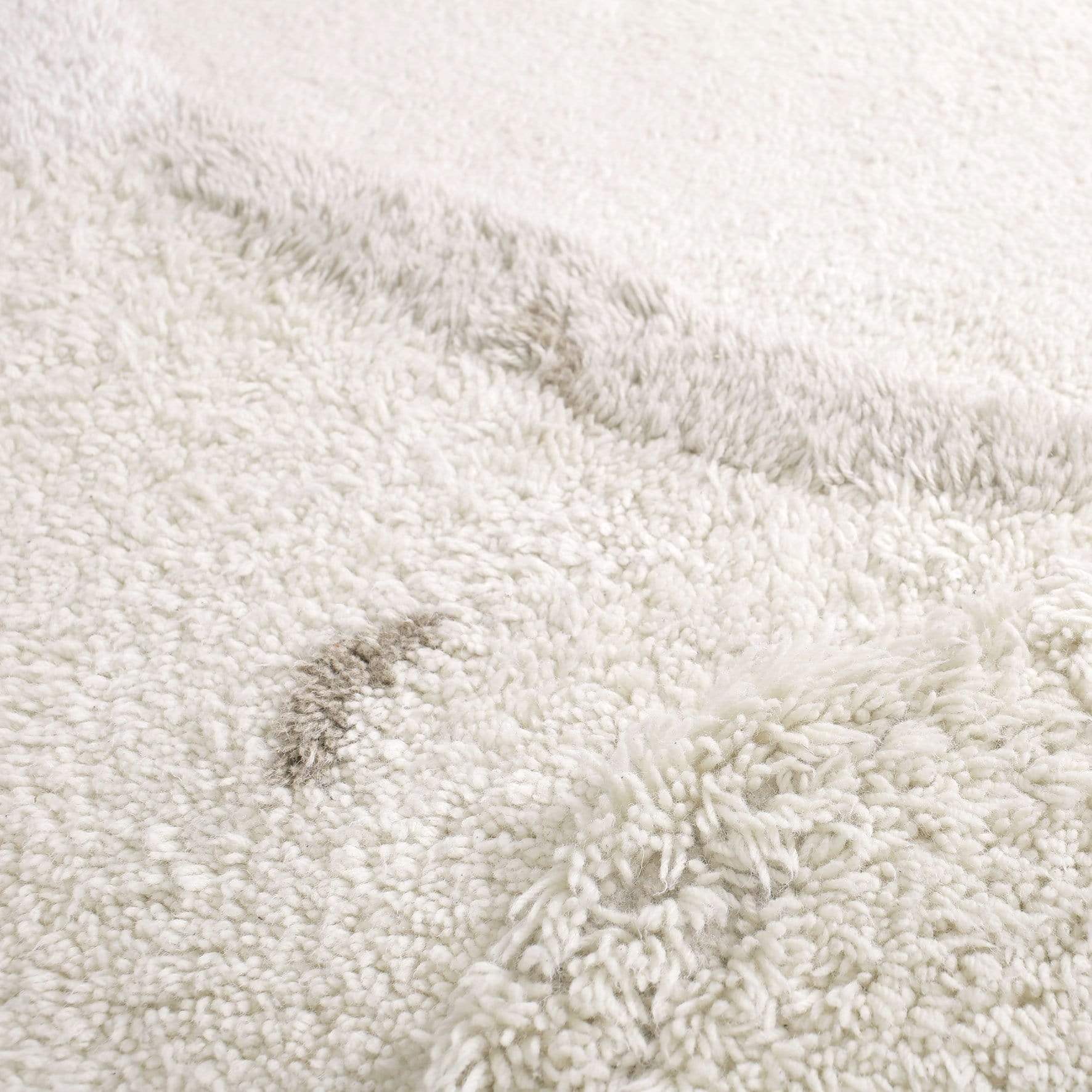 Tilky Grey Area Rug、mySite、gigharbornorthrealestate