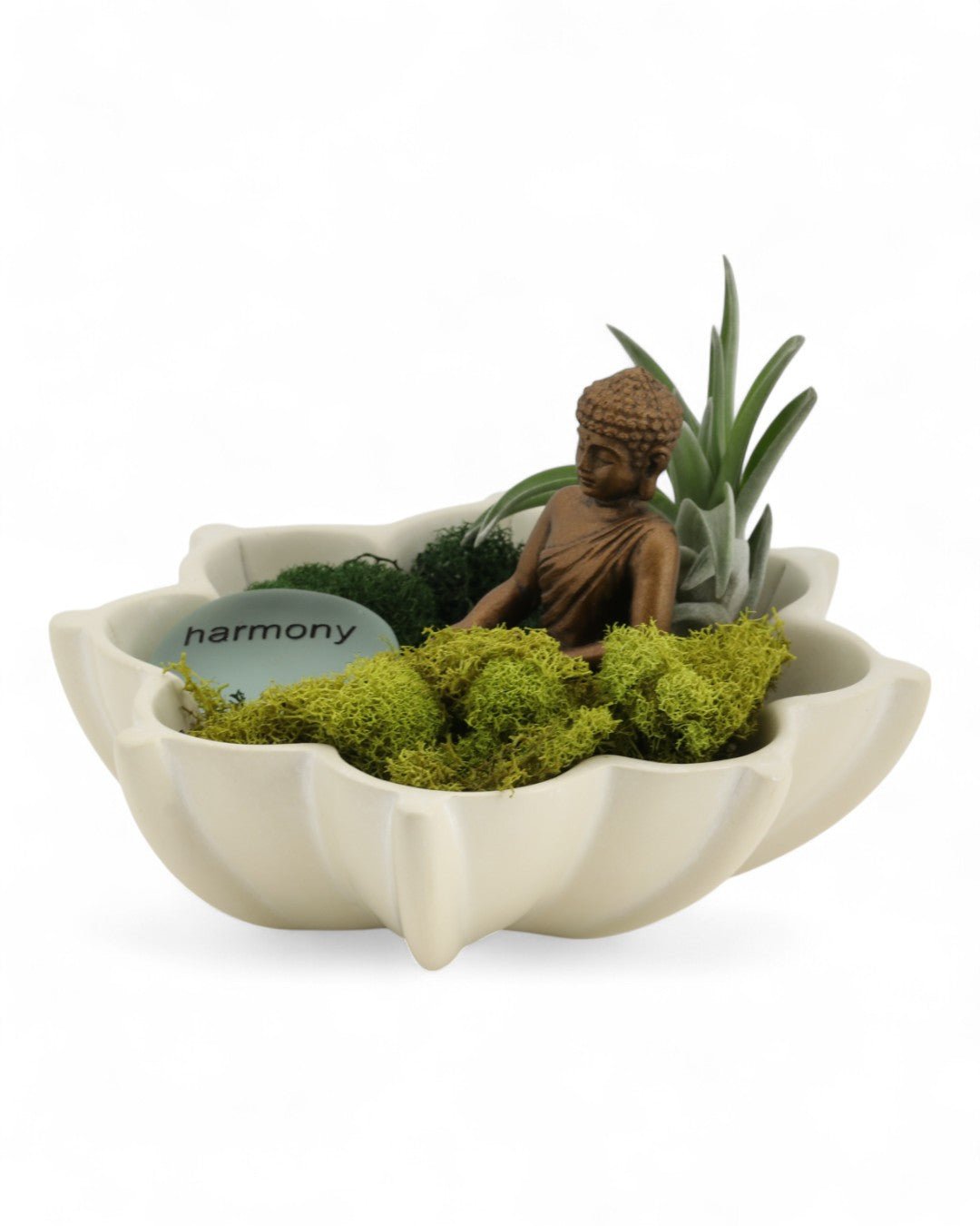 Harmony Zen Terrarium with Lotus Bowl、mySite、topwebapps