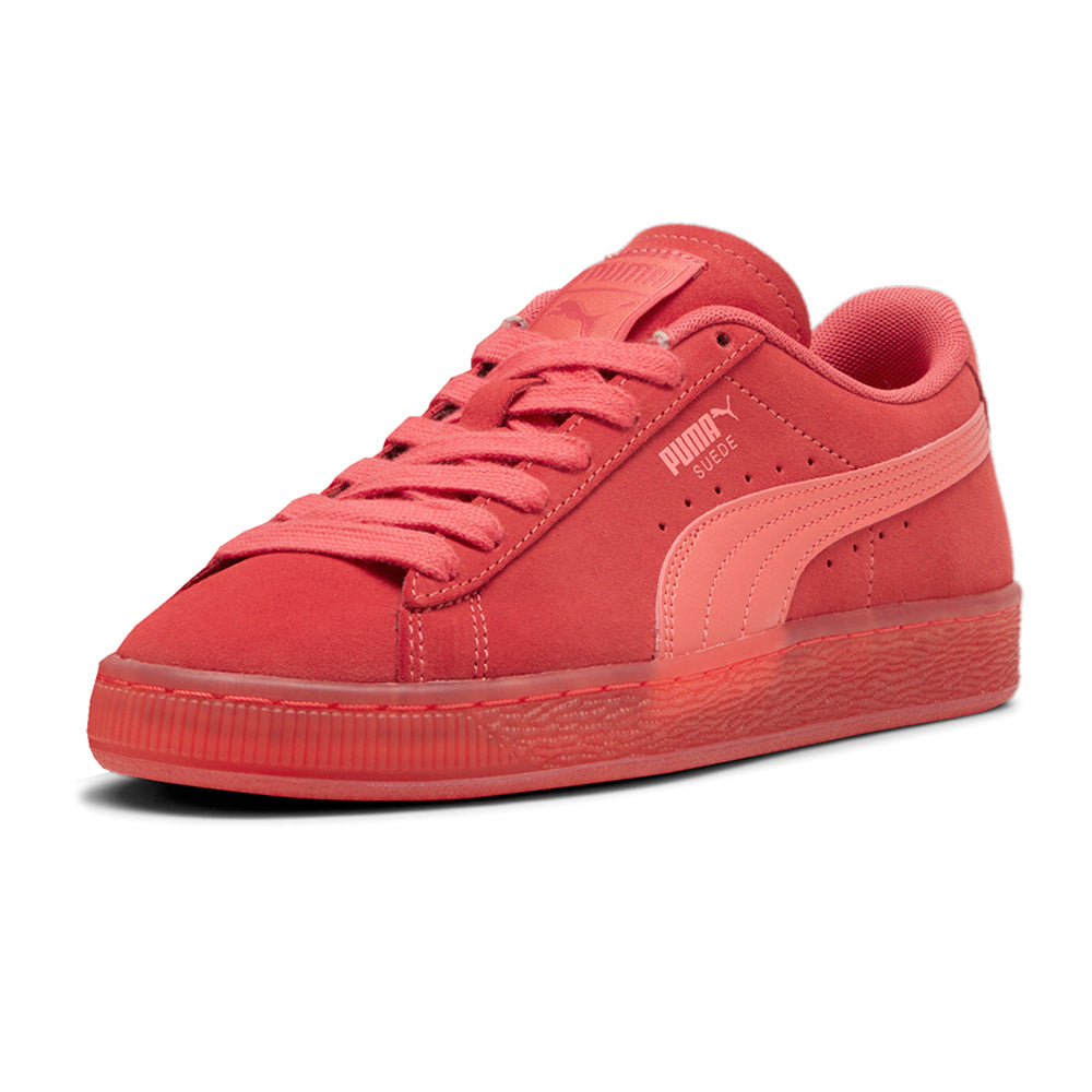 Suede Classic Translucent Lace Up Sneakers、mySite、gtrtttuynbv