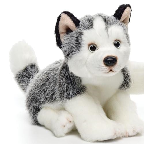 Plush Dogs: Bernese, Dalmatian, Husky, Shiba Inu, Chow, Dobie, Rottie、mySite、g9winljtr