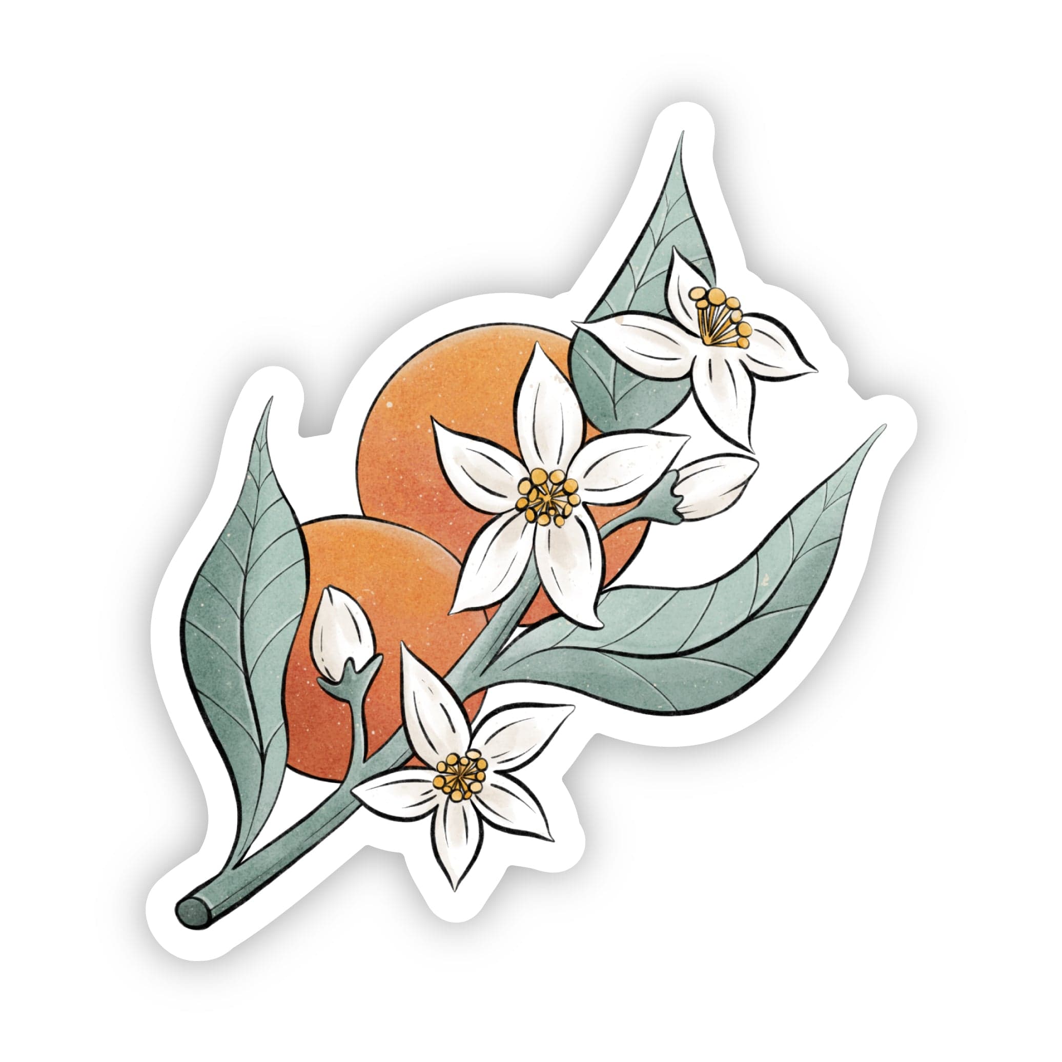  Florida Orange Blossom Flower Sticker、mySite、elrpsem3k