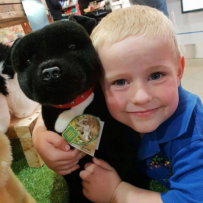 Black Staffordshire Bull Terrier Large Size 33cm/13、mySite、g9winljtr