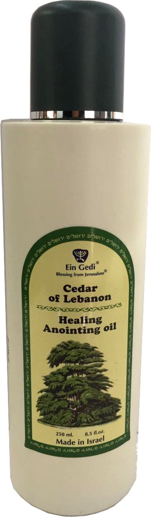 Holy Land Market Cedar Lebanon anointing Oil from Ein Gedi large size - Anointing oil - 250 ml (8.5 fl. oz.)、mySite、topwebapps