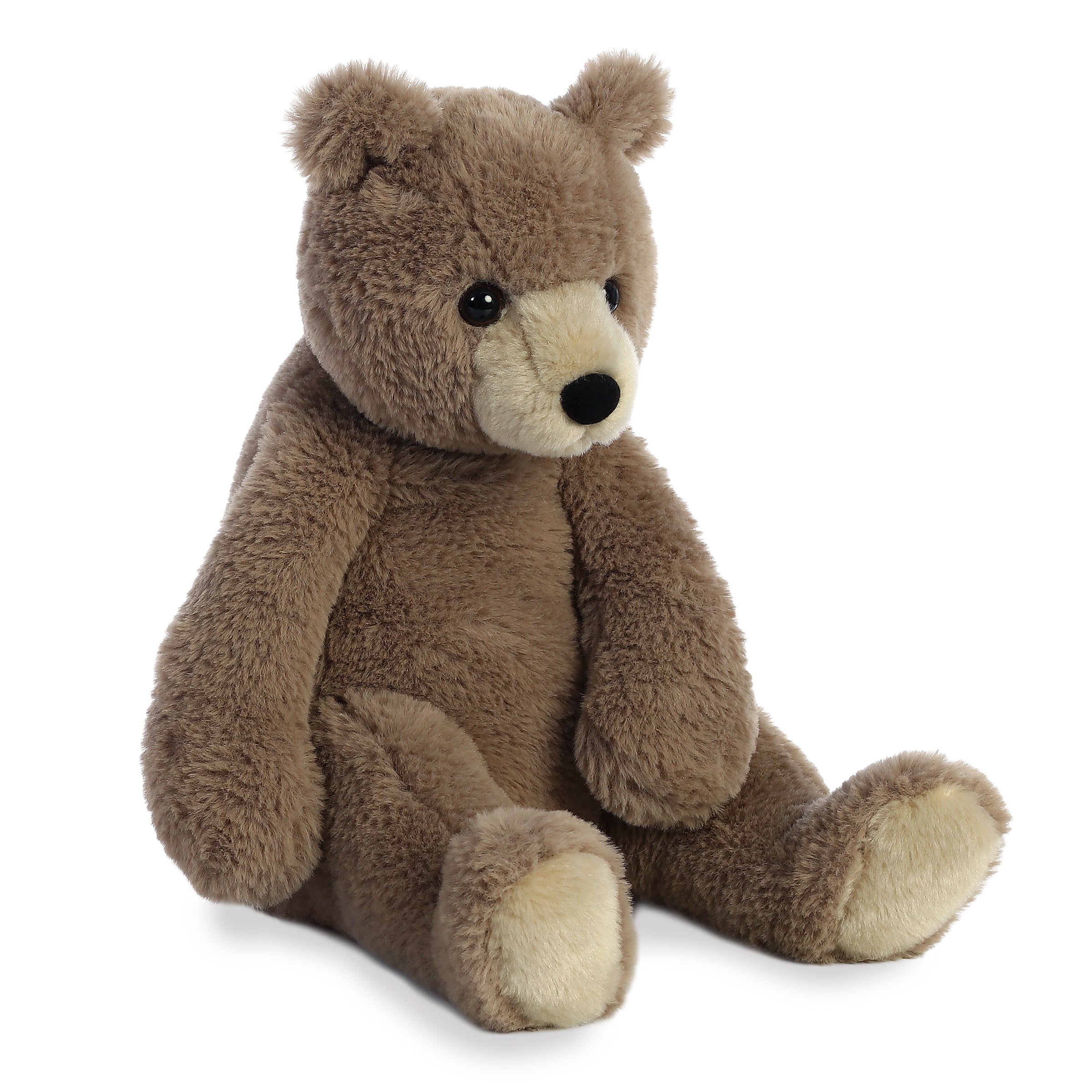 Aurora® - Bear - Humphrey Bear™、mySite、g9winljtr