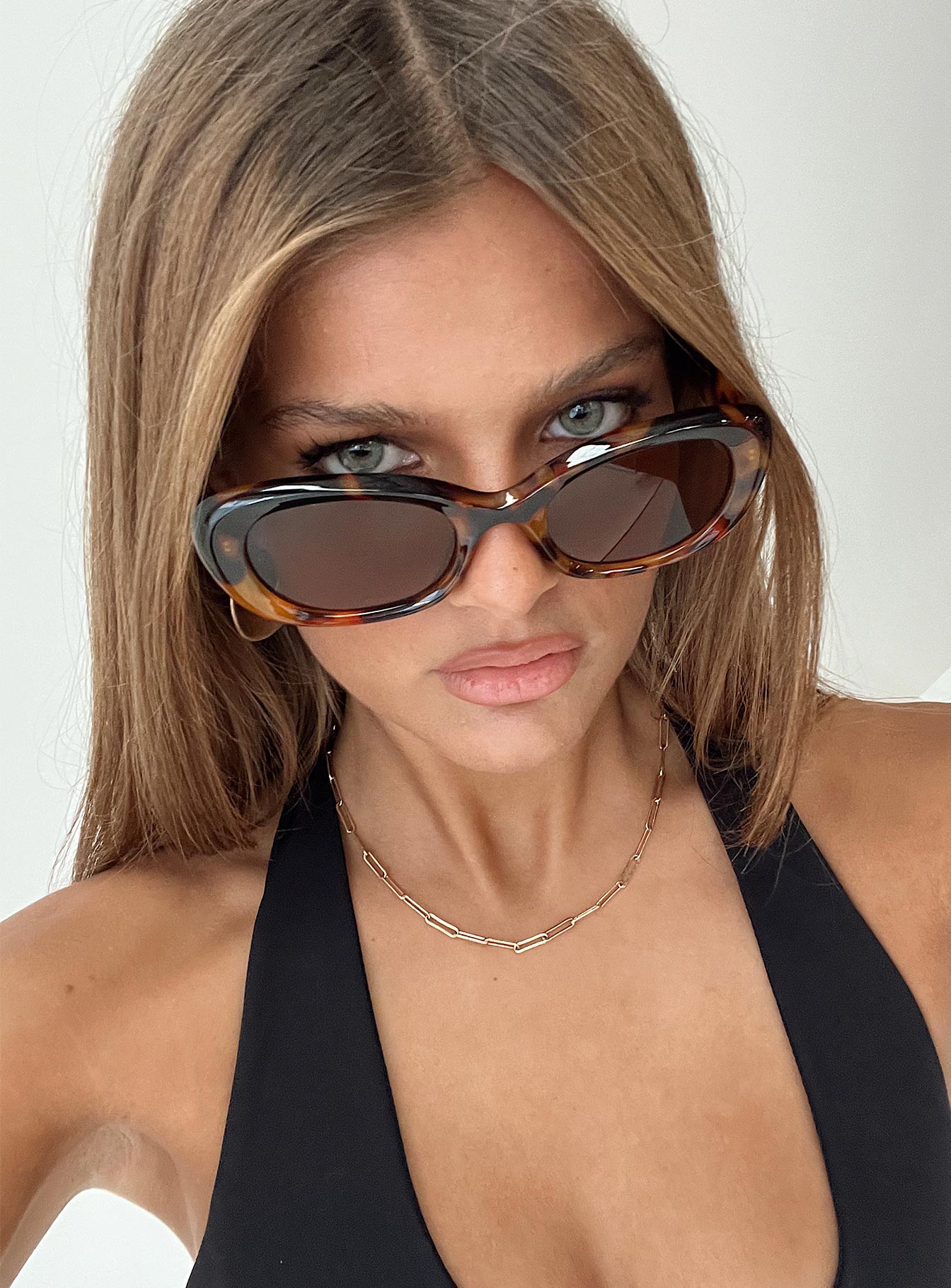 Stetson Sunglasses Tort、mySite、solidvoid